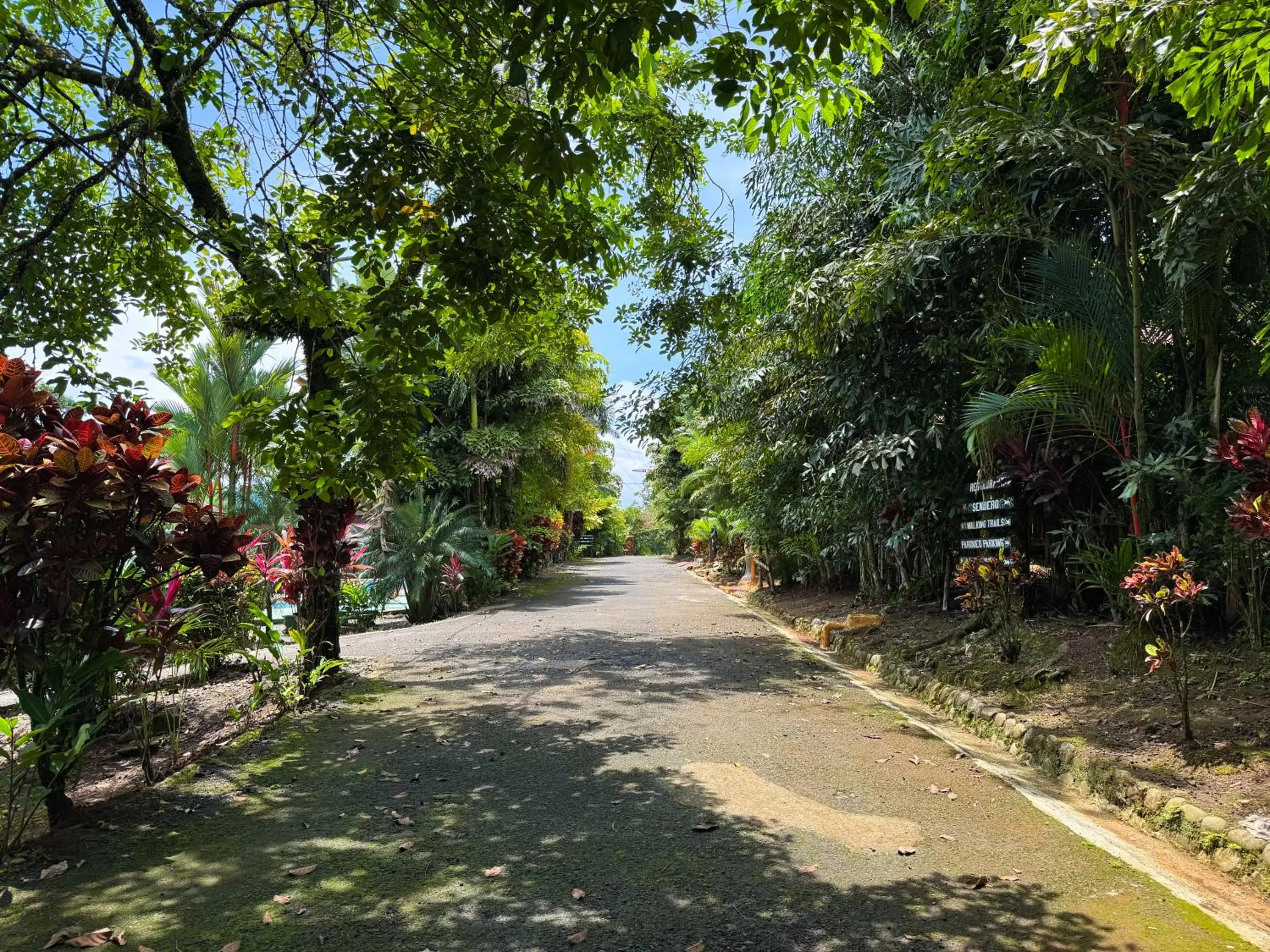Quiet street view in Hotel Heliconias Nature Inn & Hot Springs