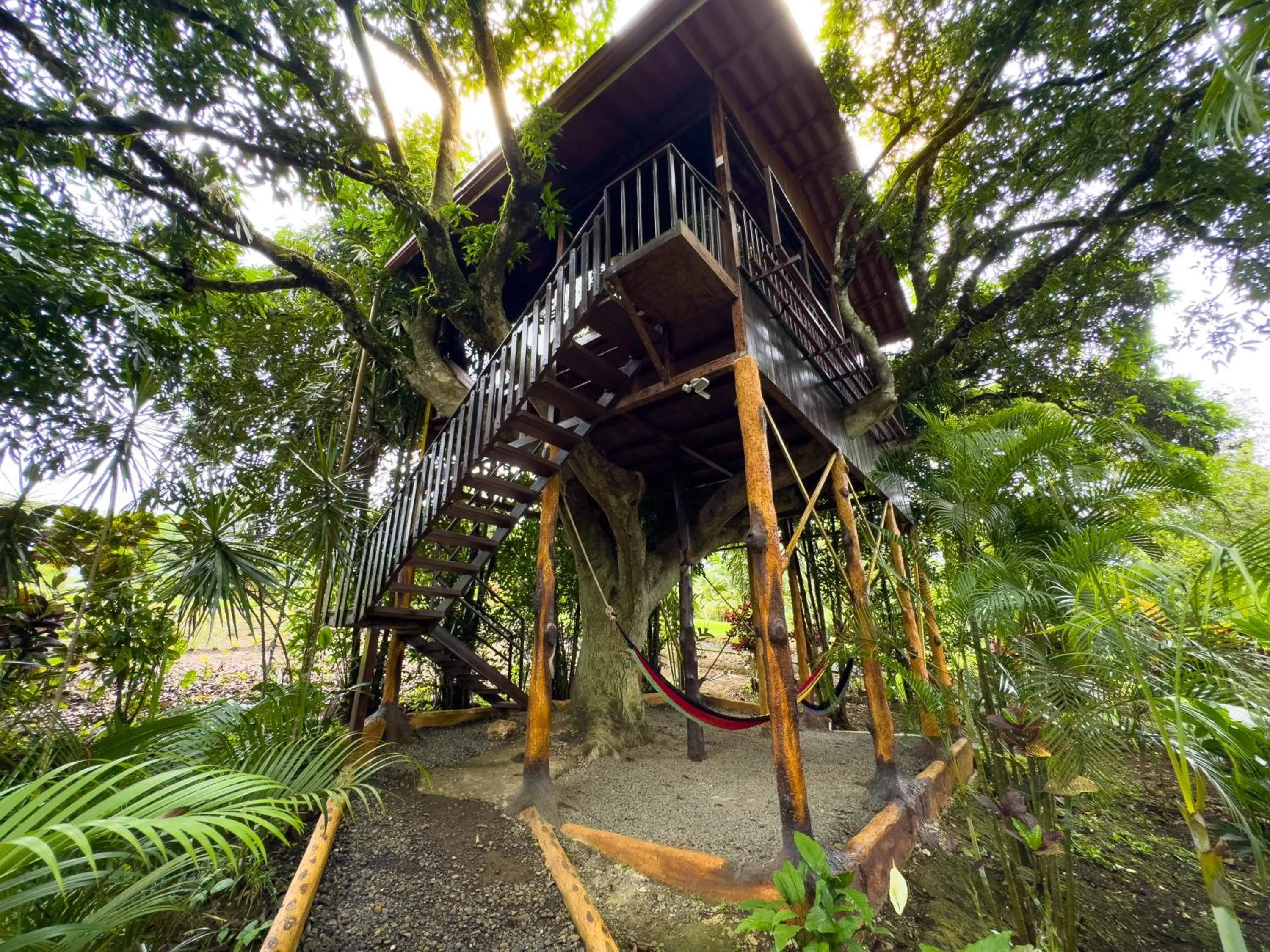 Garden in Hotel Heliconias Nature Inn & Hot Springs