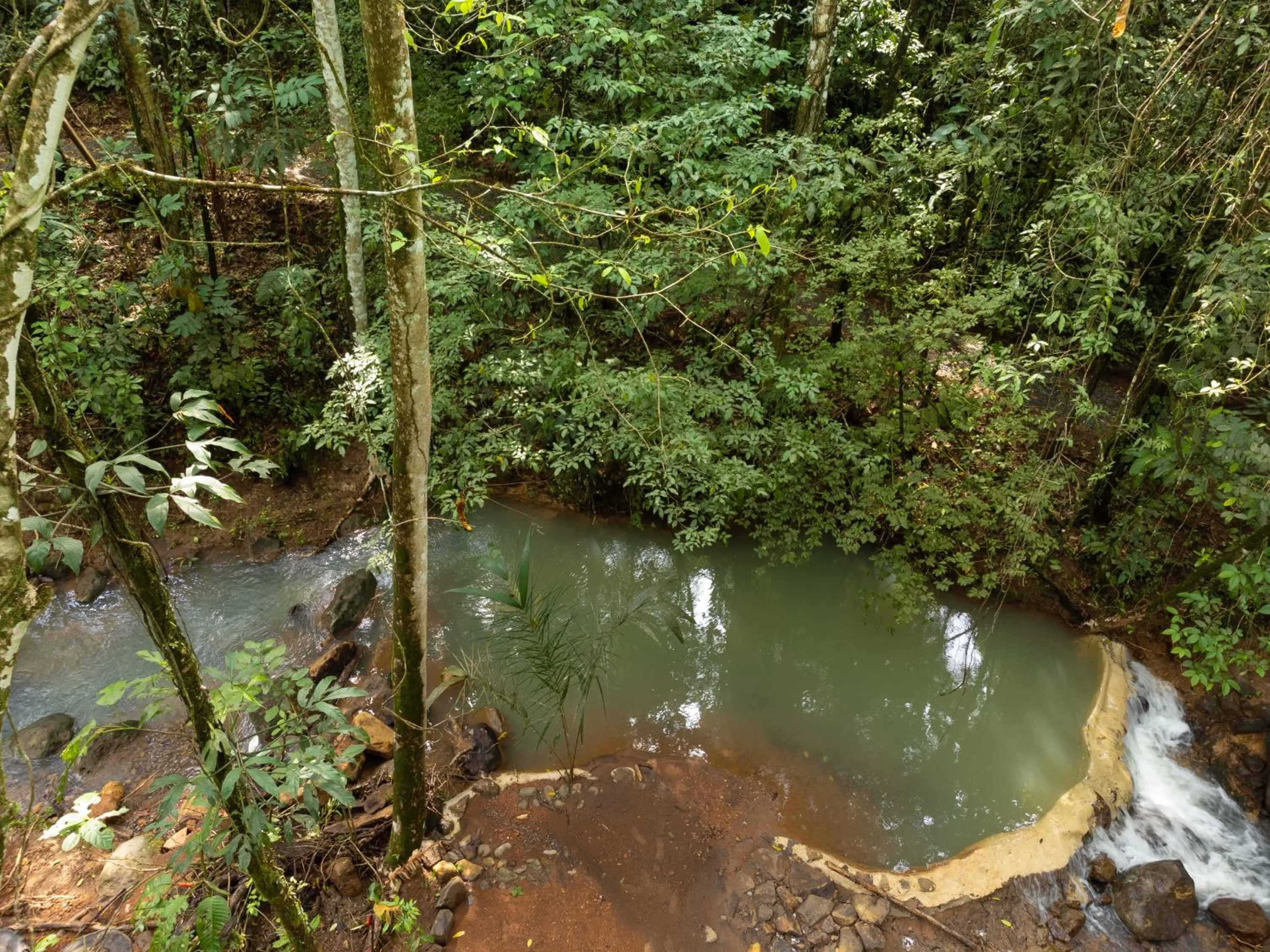 Spring in Hotel Heliconias Nature Inn & Hot Springs