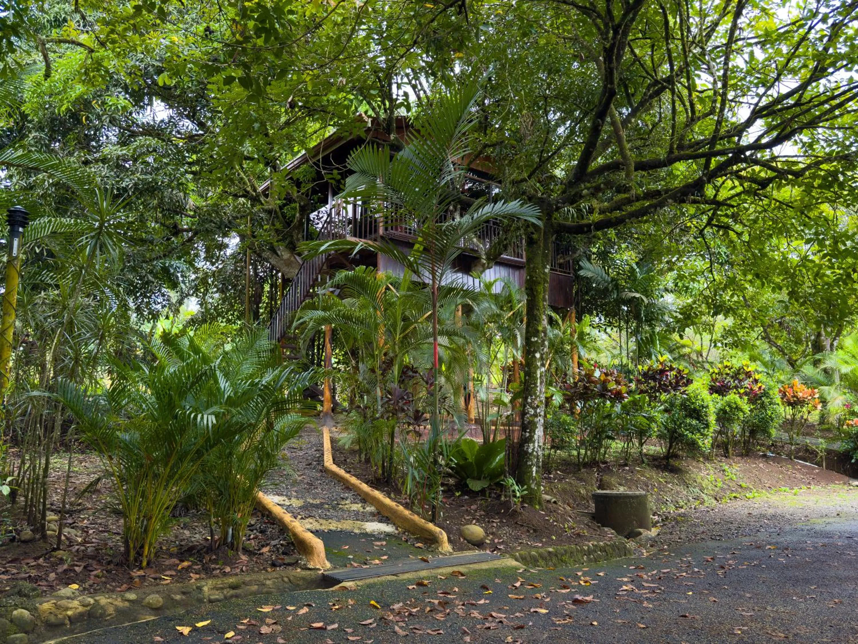 Garden in Hotel Heliconias Nature Inn & Hot Springs