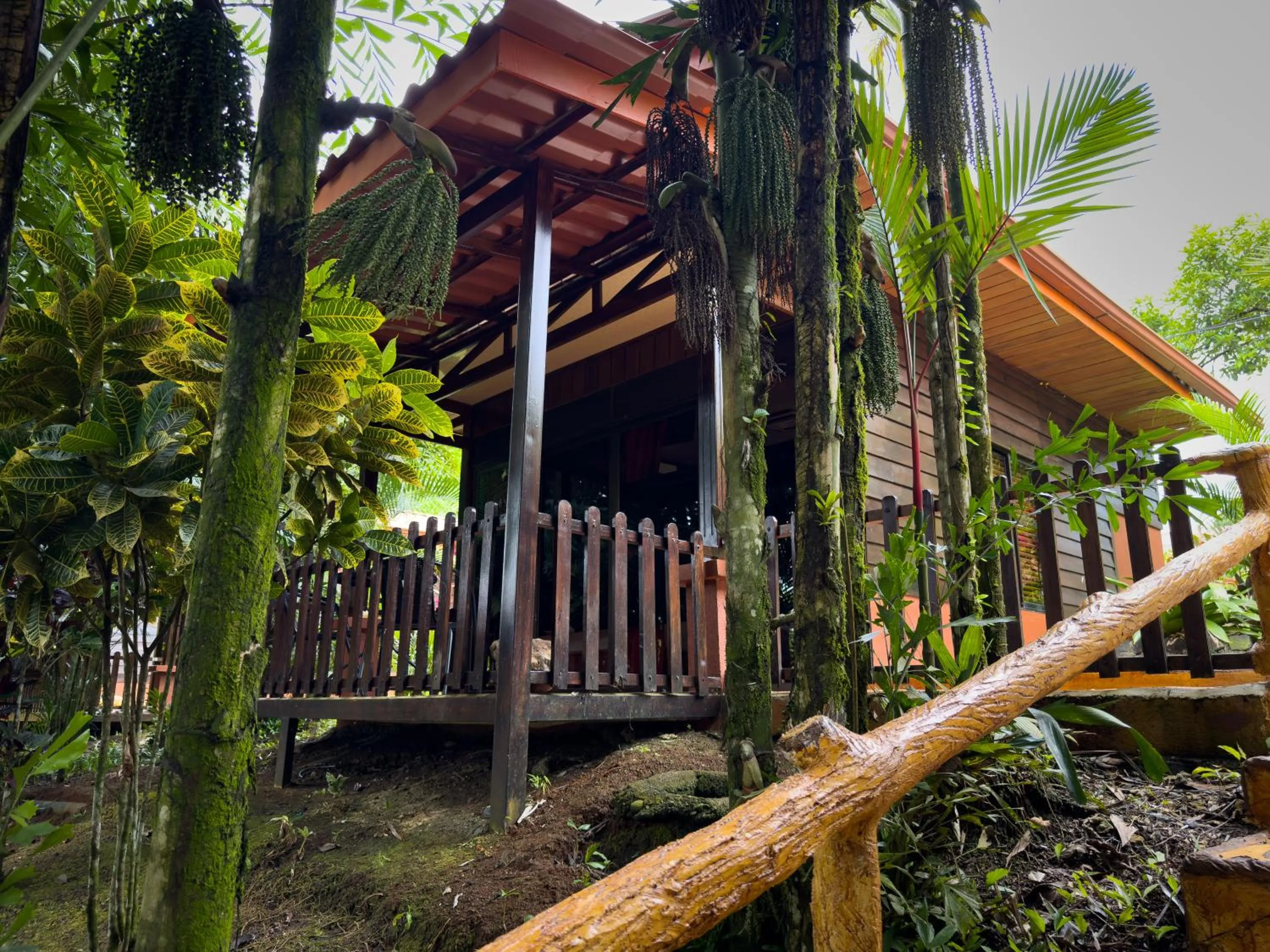 Garden in Hotel Heliconias Nature Inn & Hot Springs