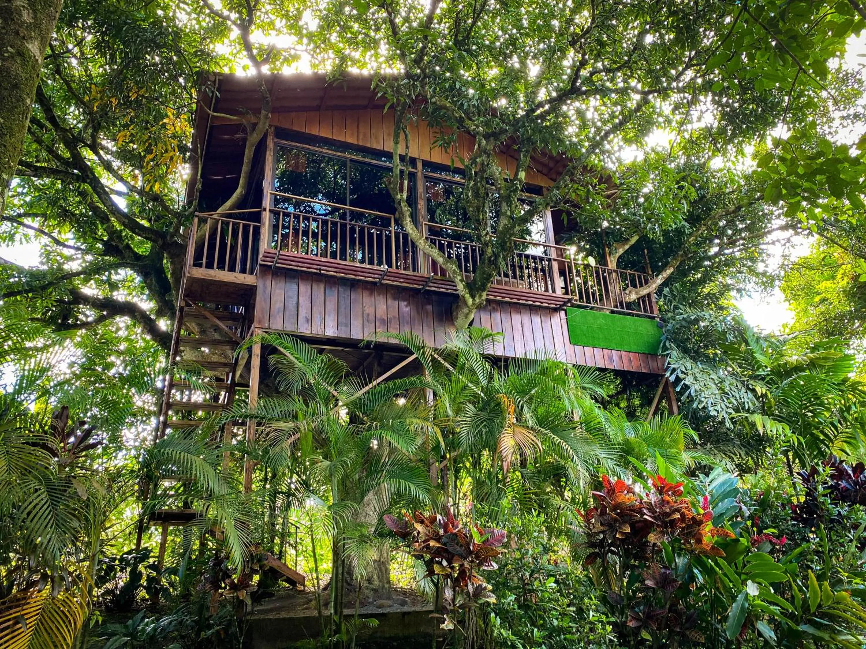 Garden in Hotel Heliconias Nature Inn & Hot Springs