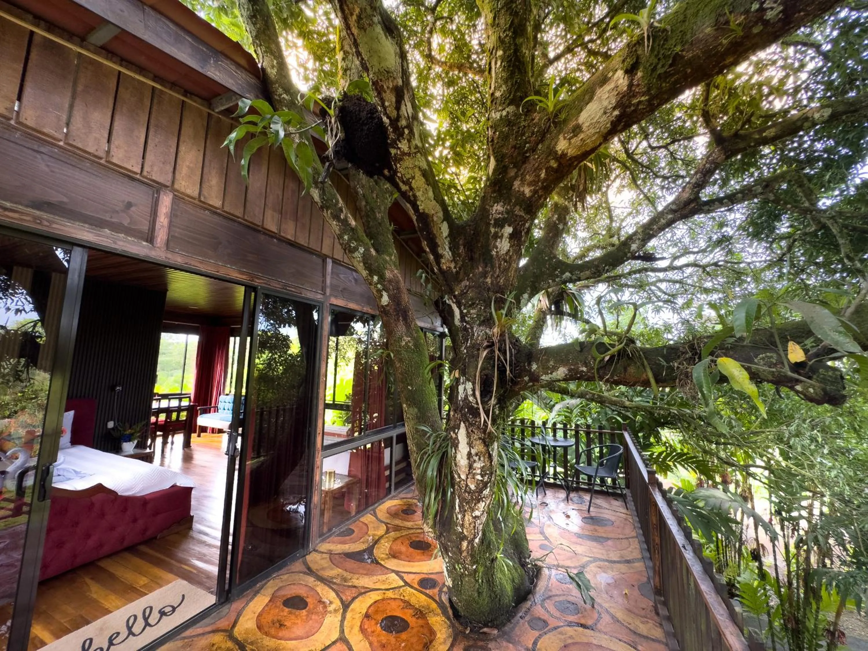 Balcony/Terrace in Hotel Heliconias Nature Inn & Hot Springs