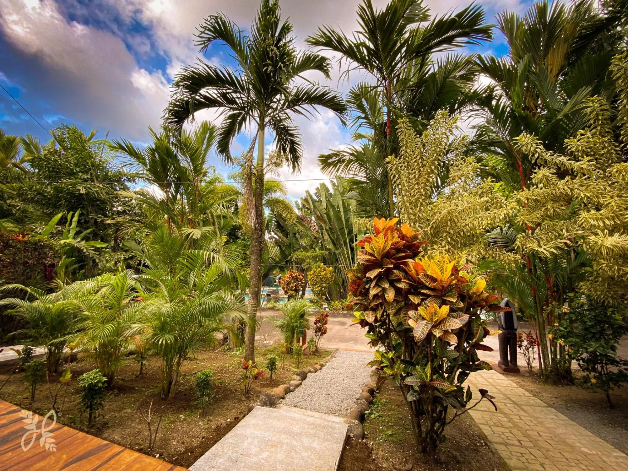 Garden view in Hotel Heliconias Nature Inn & Hot Springs