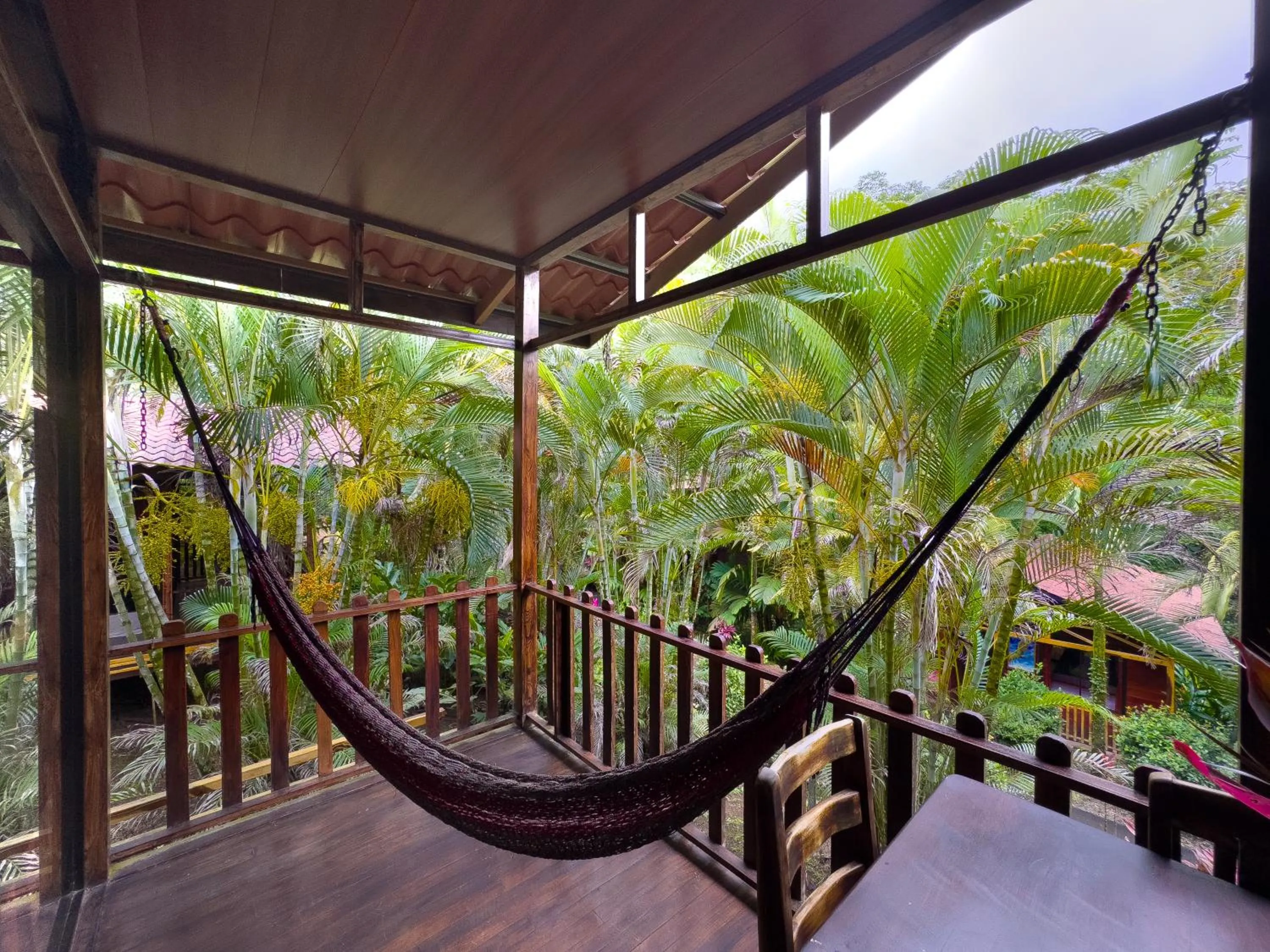 Spring in Hotel Heliconias Nature Inn & Hot Springs