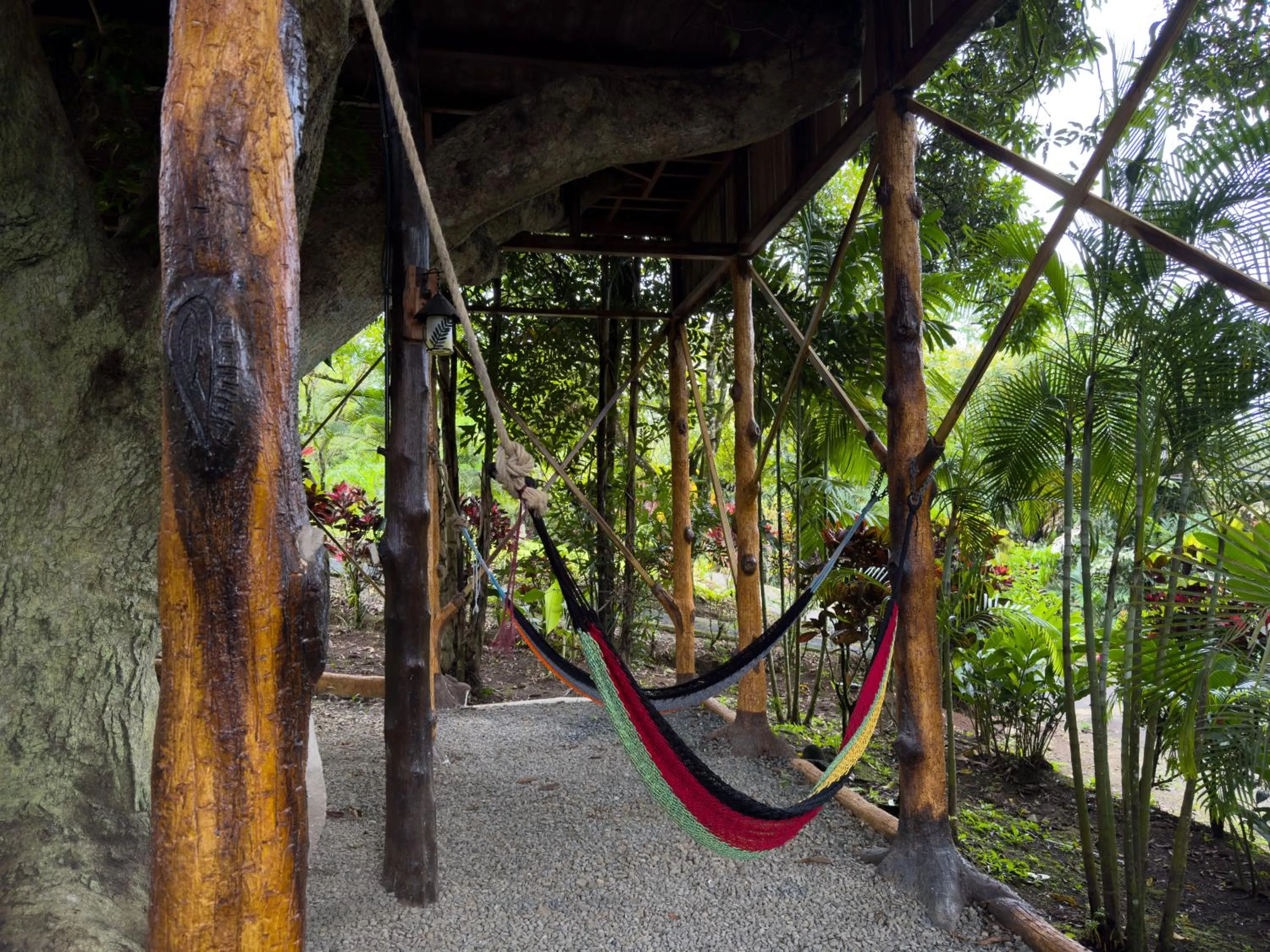 Garden view in Hotel Heliconias Nature Inn & Hot Springs