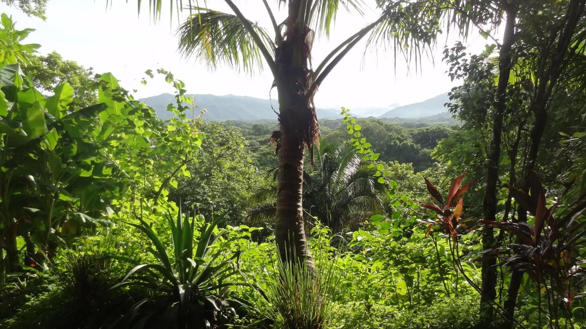 Mountain view in Nosara Sunrise Bed and Breakfast