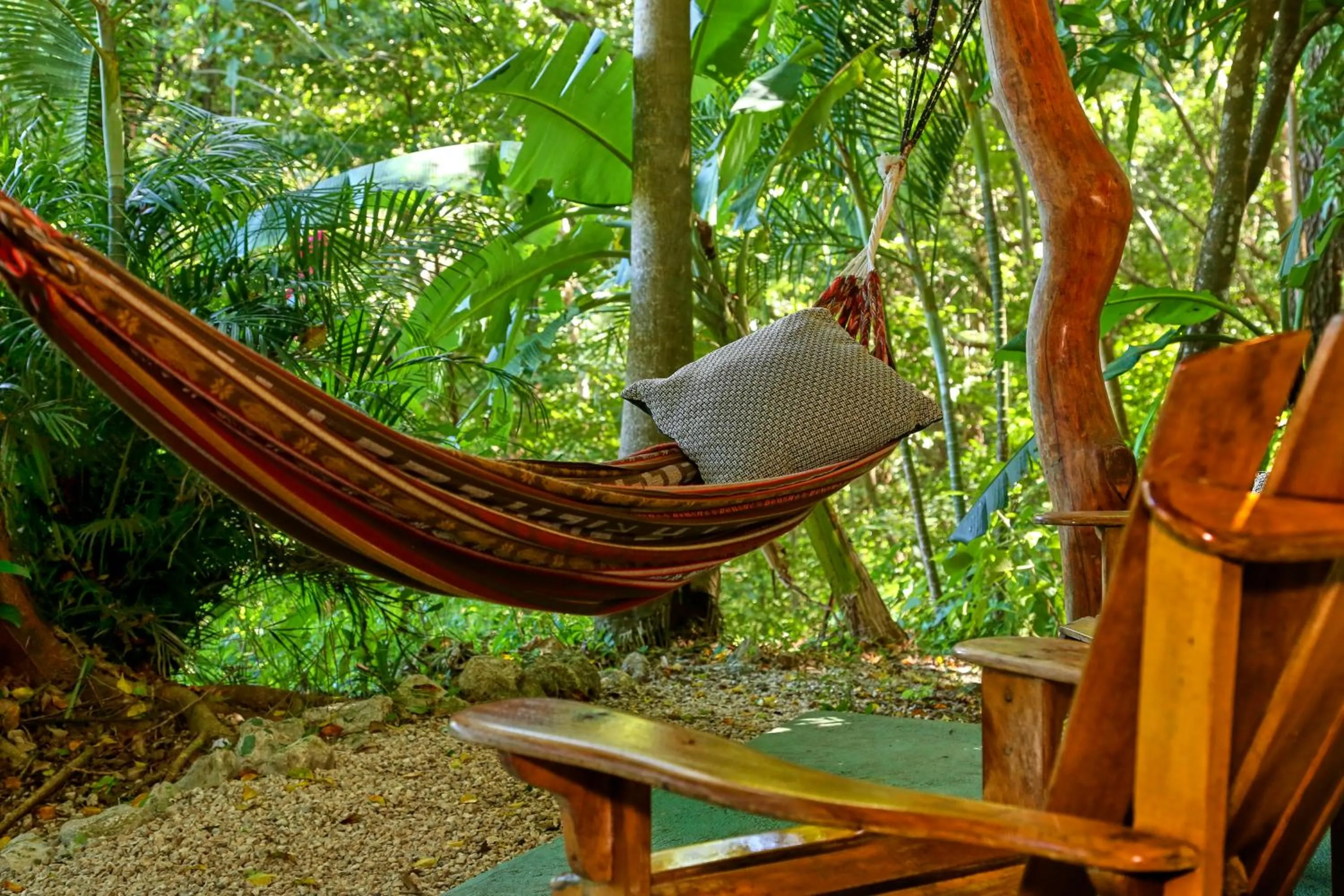 Patio in Nosara Sunrise Bed and Breakfast