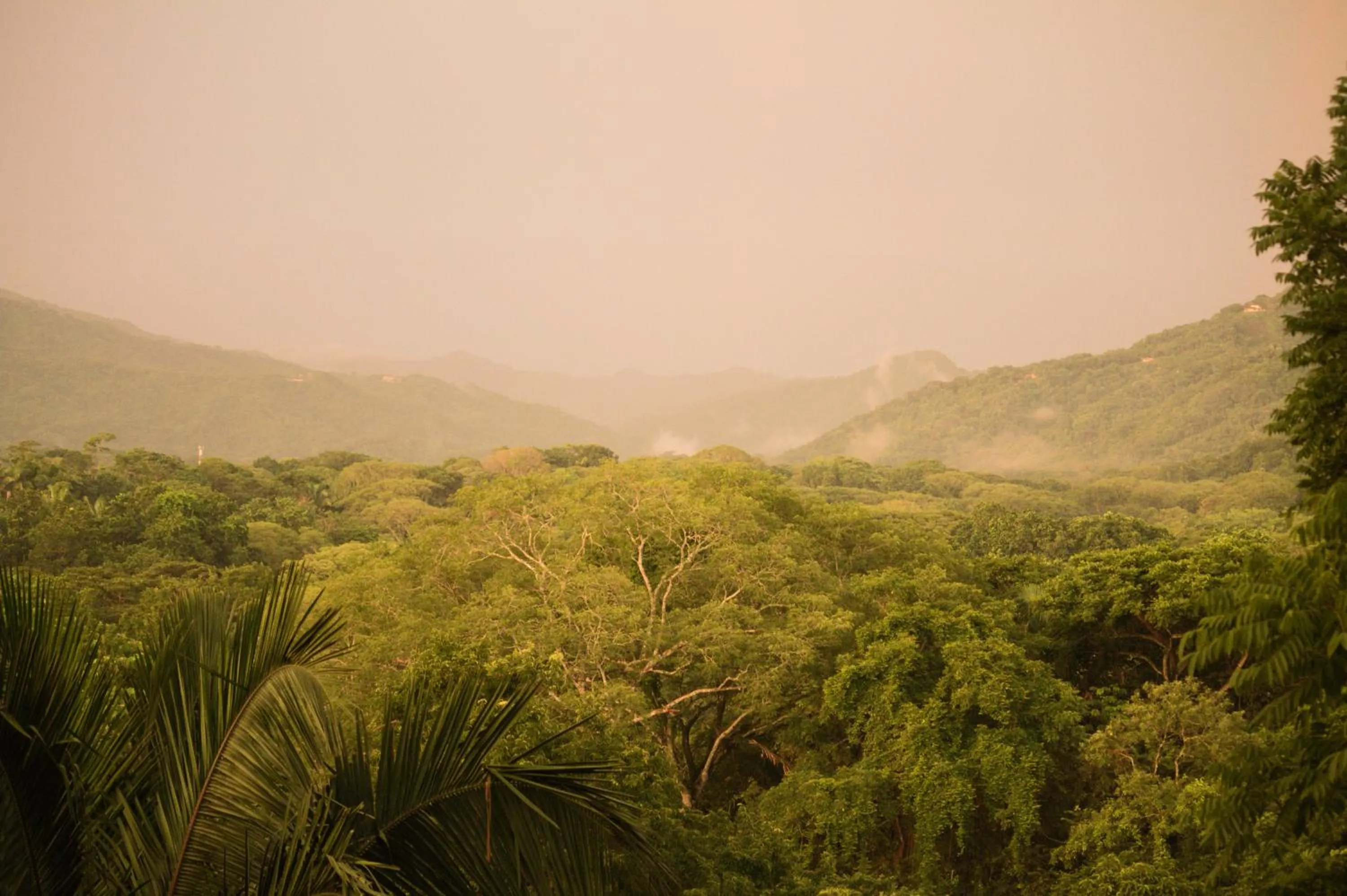 Natural landscape in Nosara Sunrise Bed and Breakfast