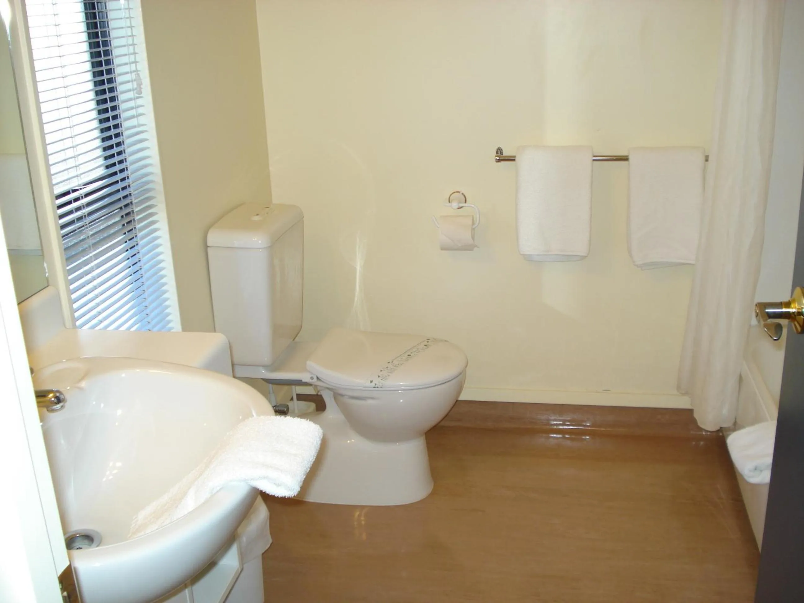 Bathroom in The Peaks Motor Inn