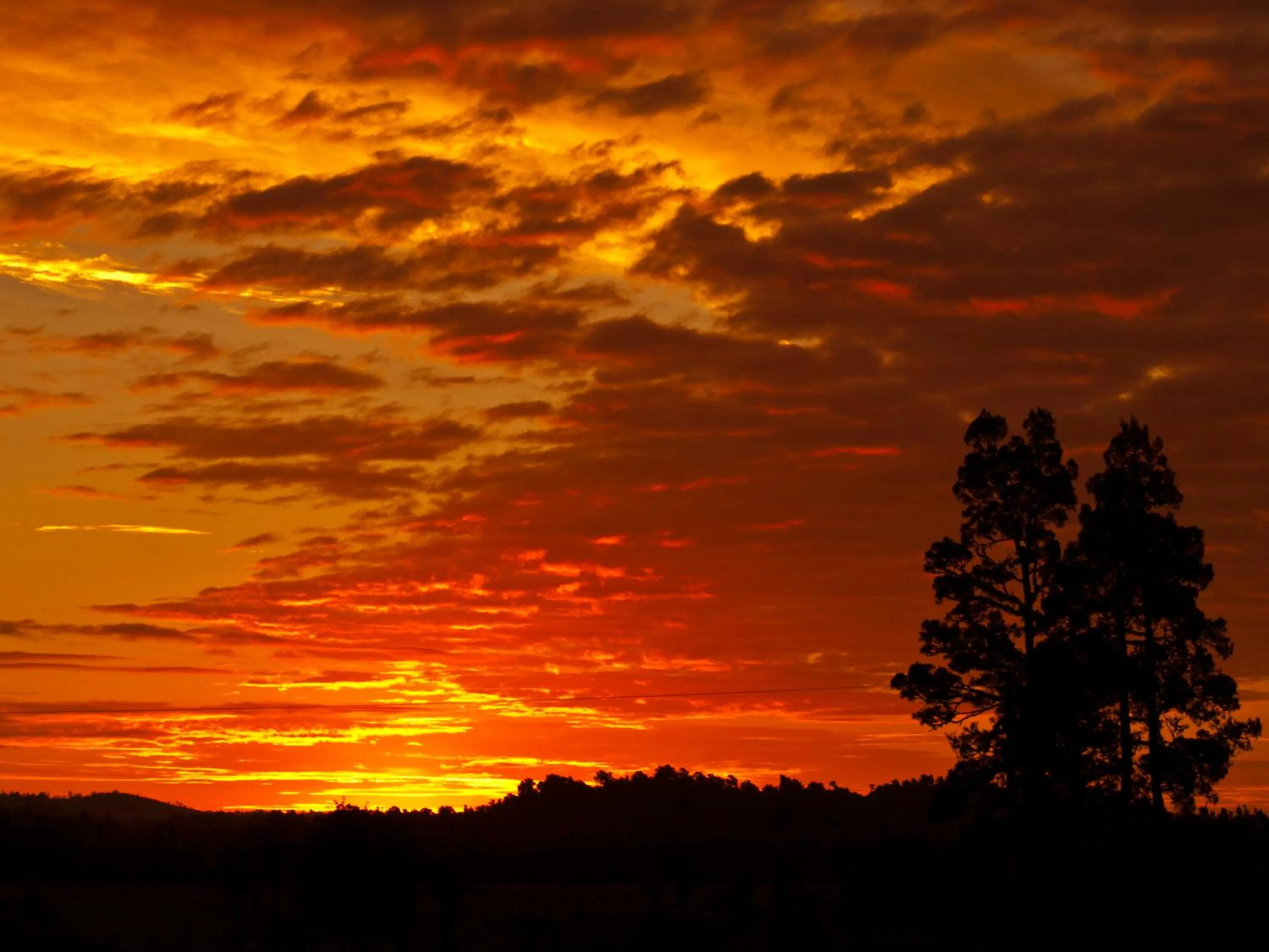 Natural landscape in Ivorytowers Accommodation