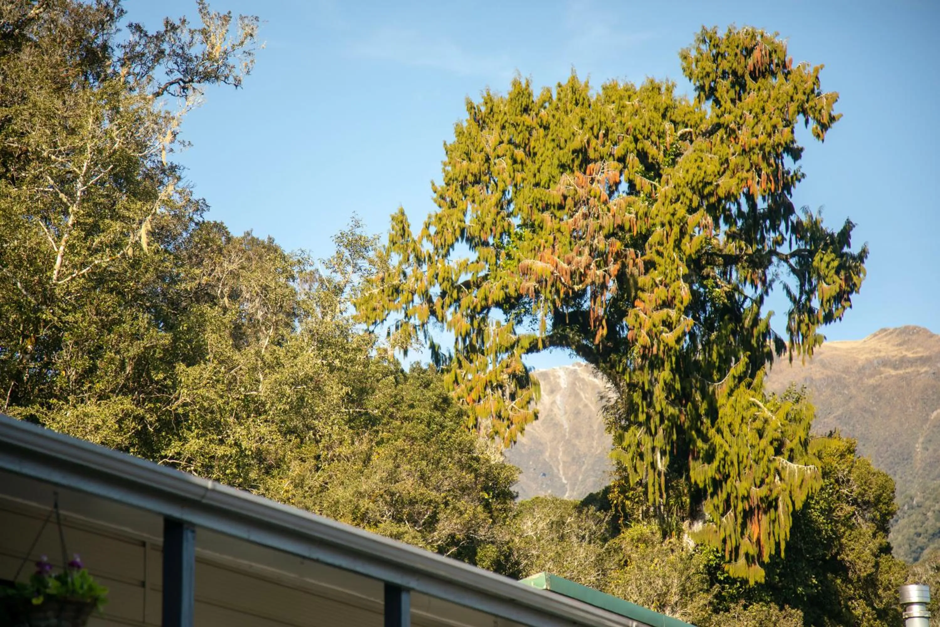 Natural landscape in Ivorytowers Accommodation