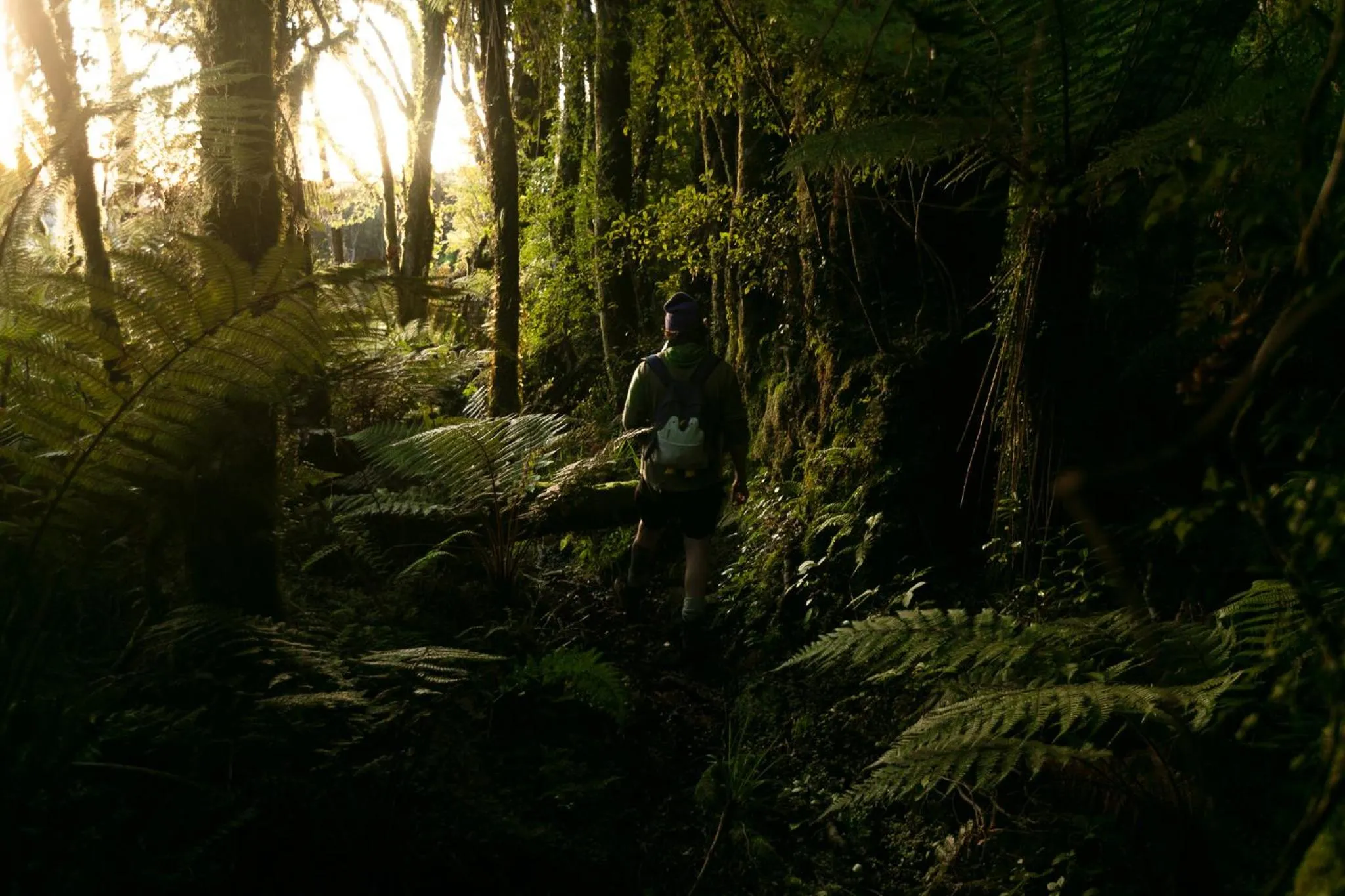 Natural landscape in Ivorytowers Accommodation