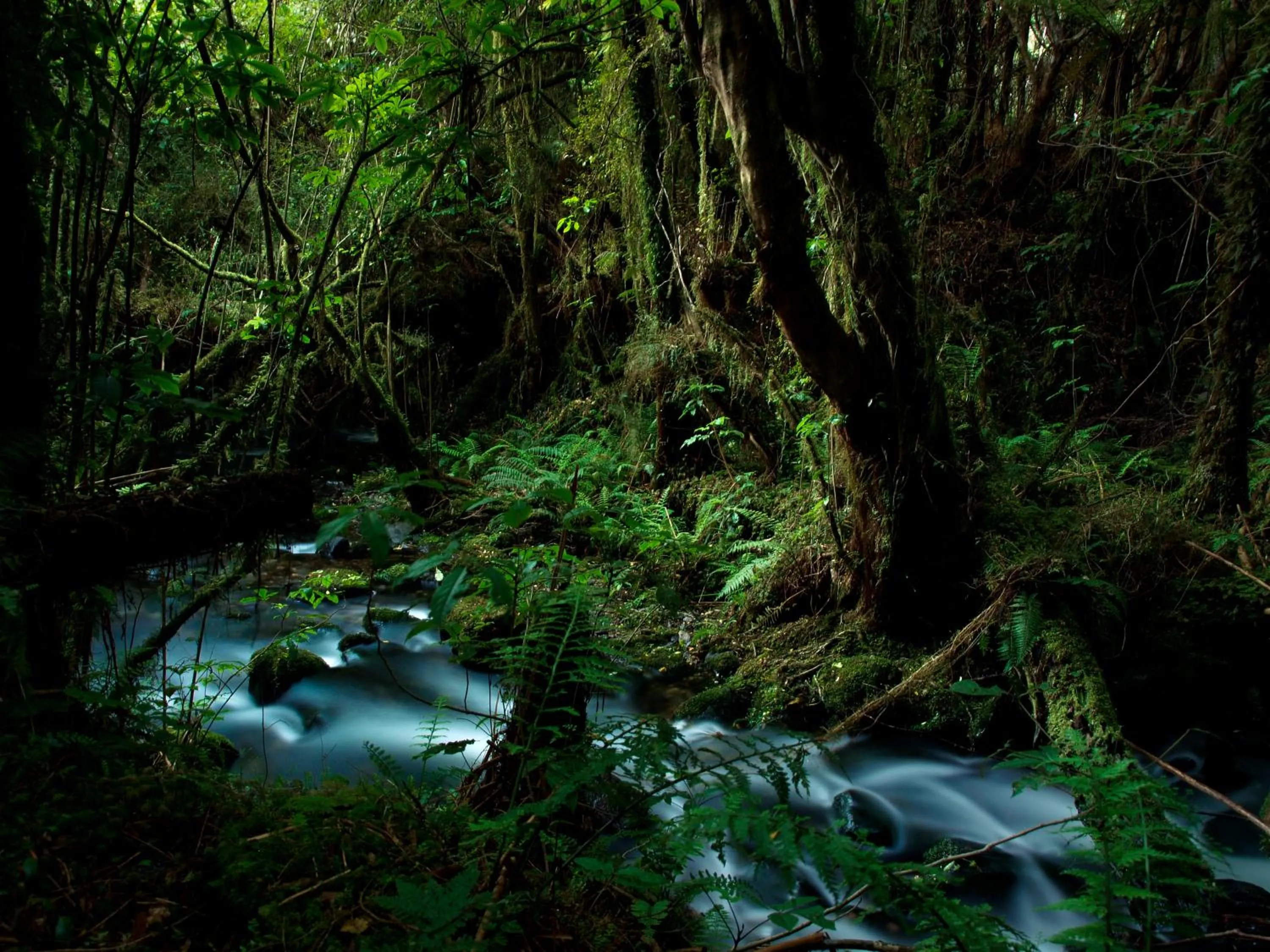 Natural landscape in Ivorytowers Accommodation