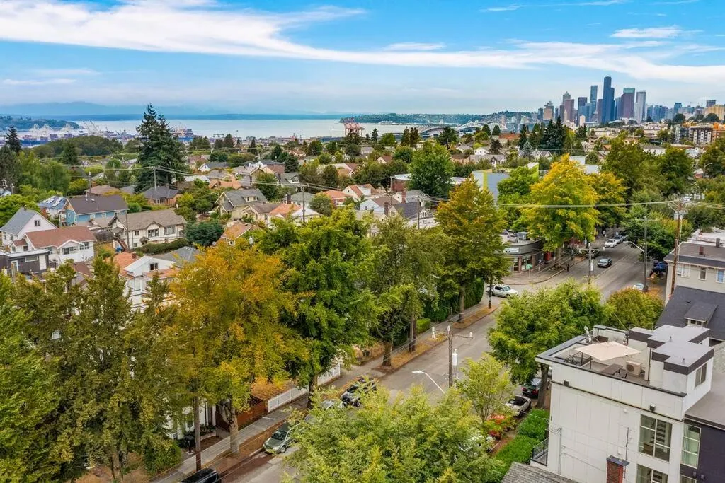Autumn Leaves in Jefferson Park