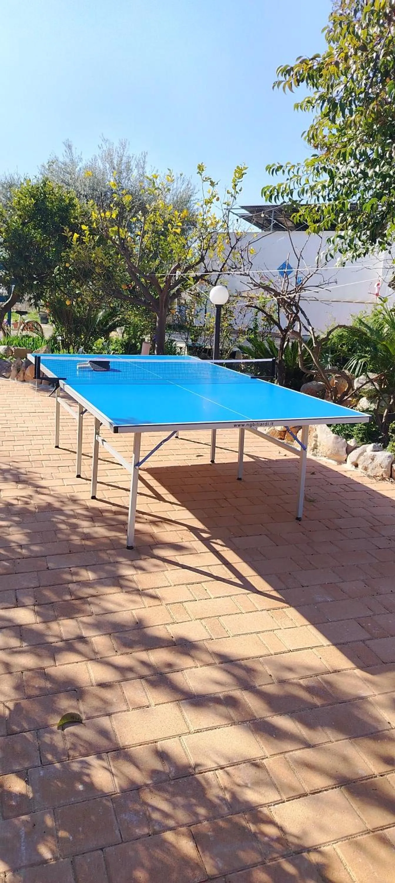 Table tennis in B&B Oceano