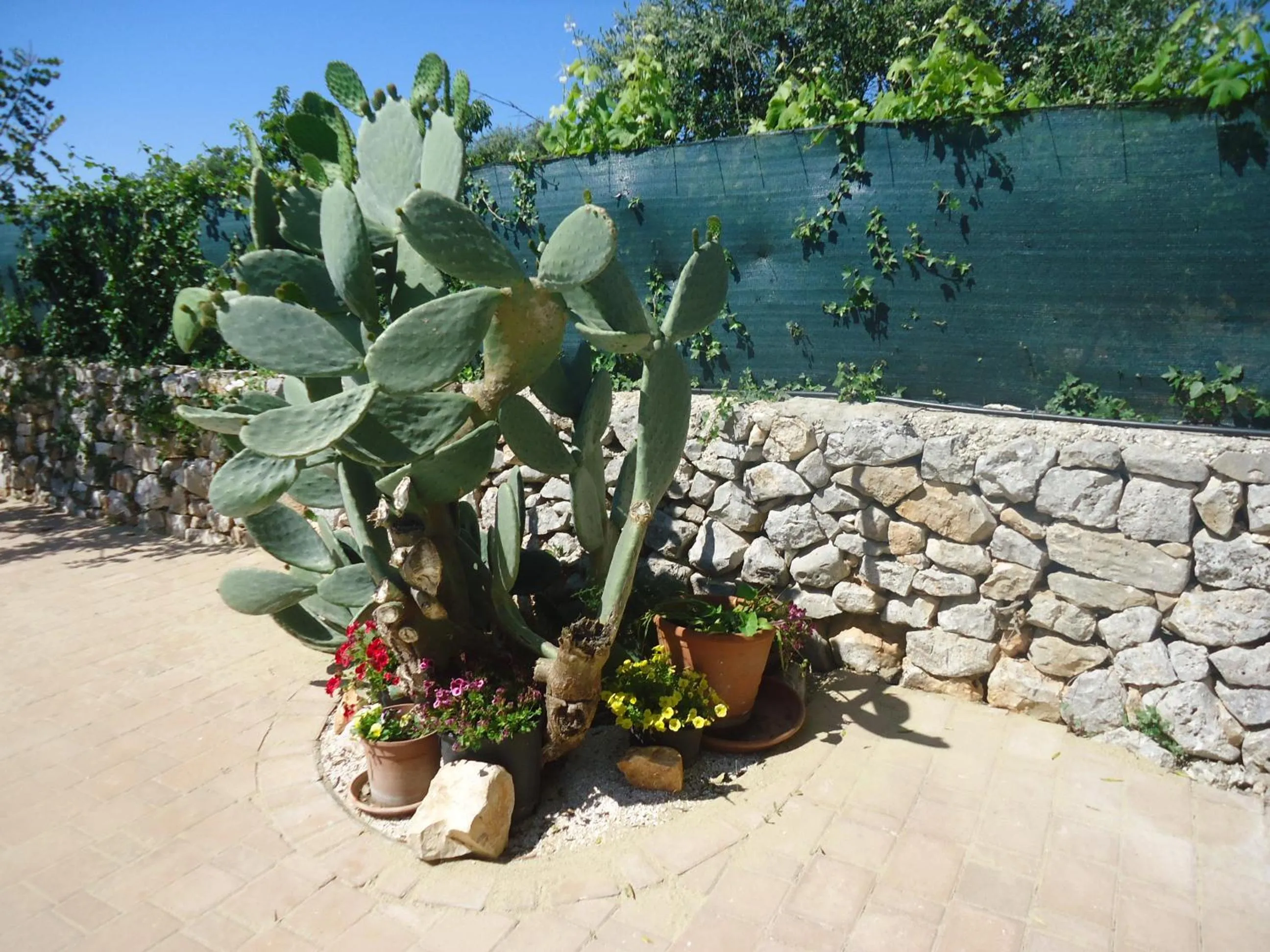 Property building in B&B Oceano