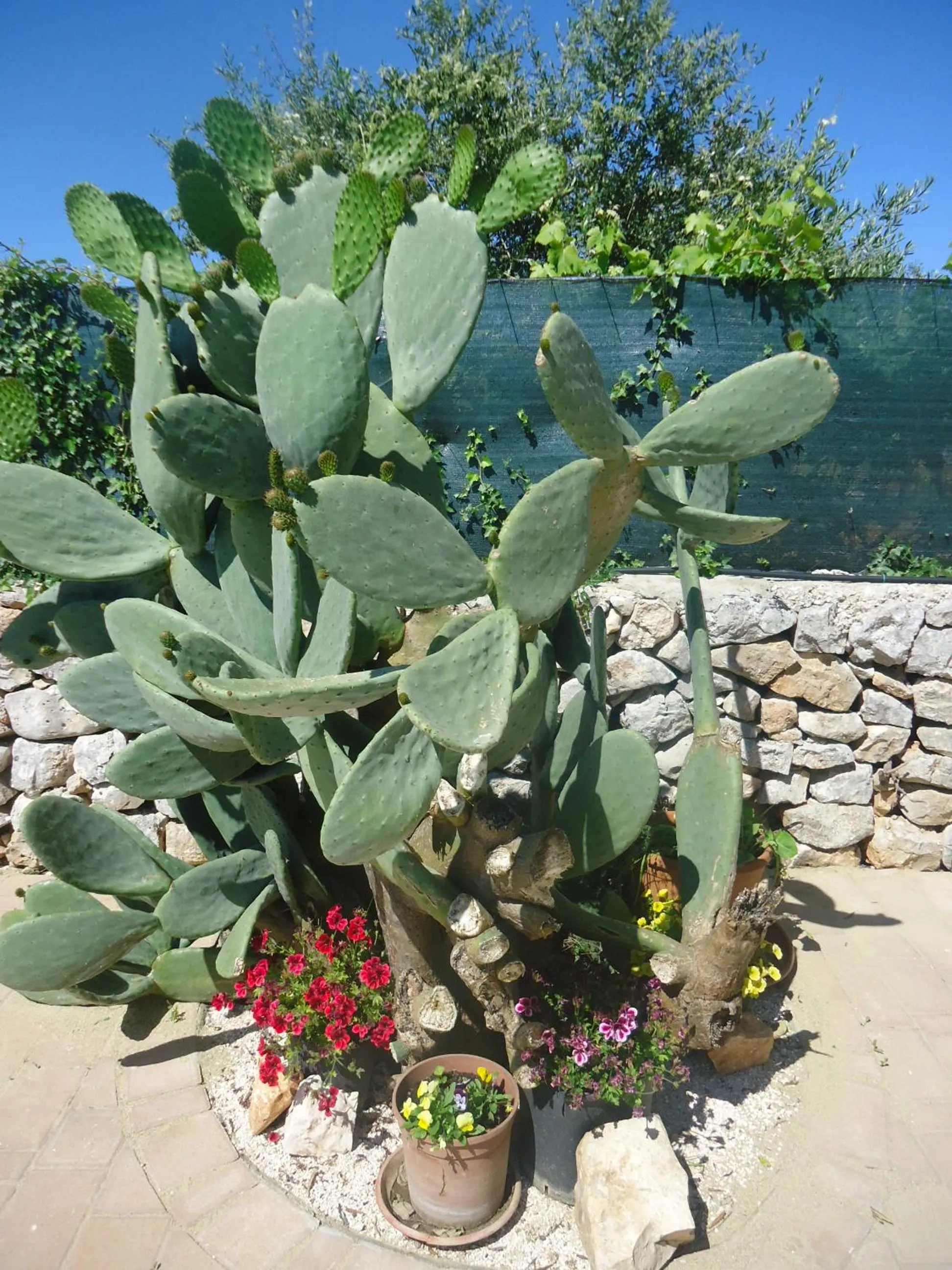 Property building in B&B Oceano