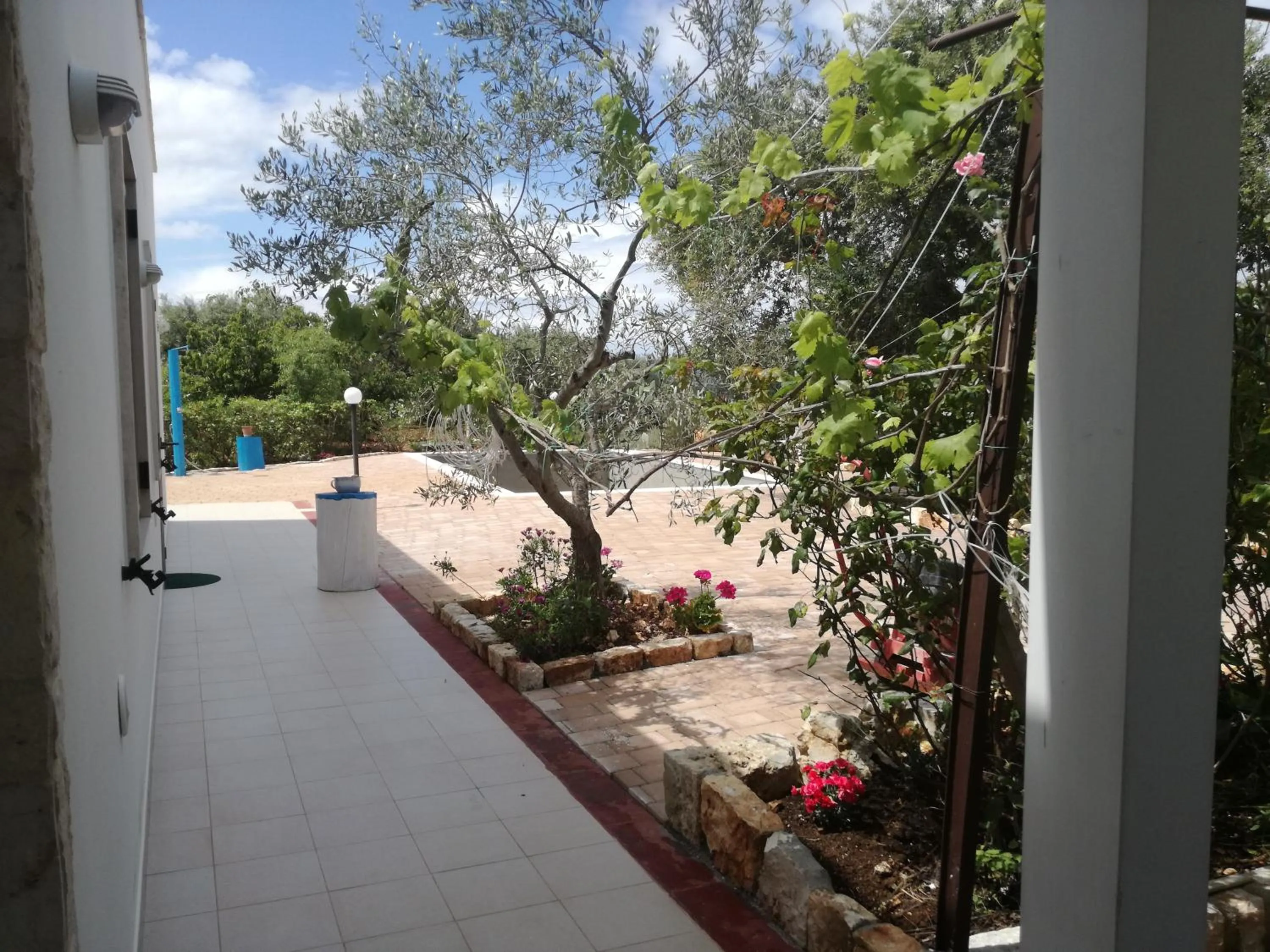 Swimming pool in B&B Oceano