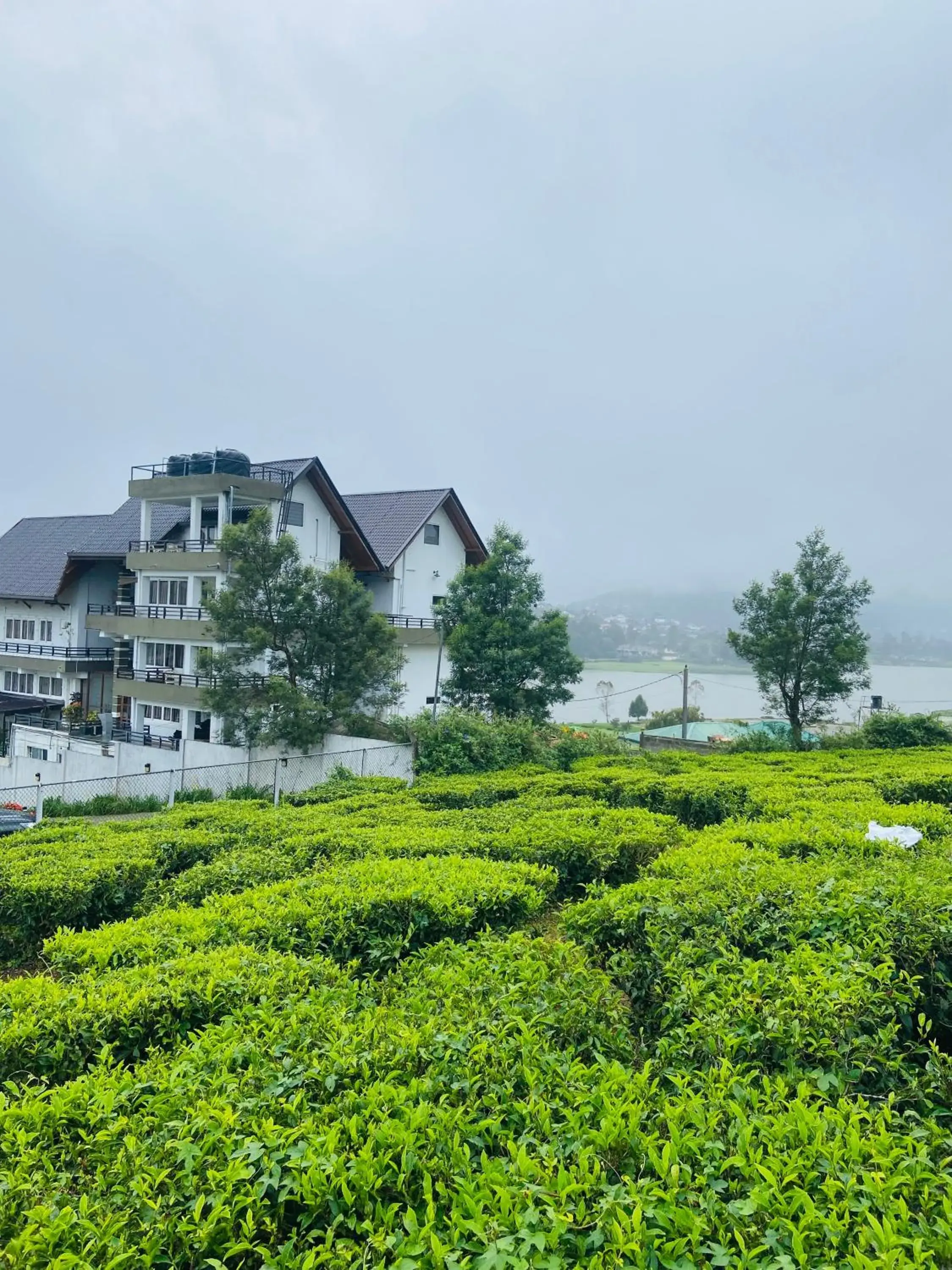 Queens Lake Cabin Queens Lake Cabin
