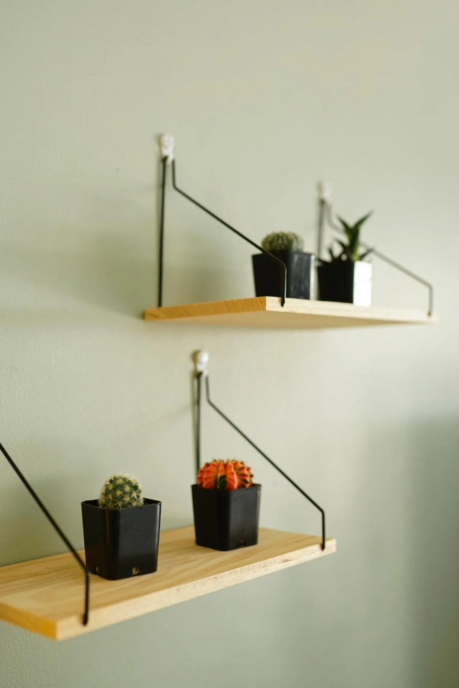 Property building in Maiiam Bungalows Kata Beach