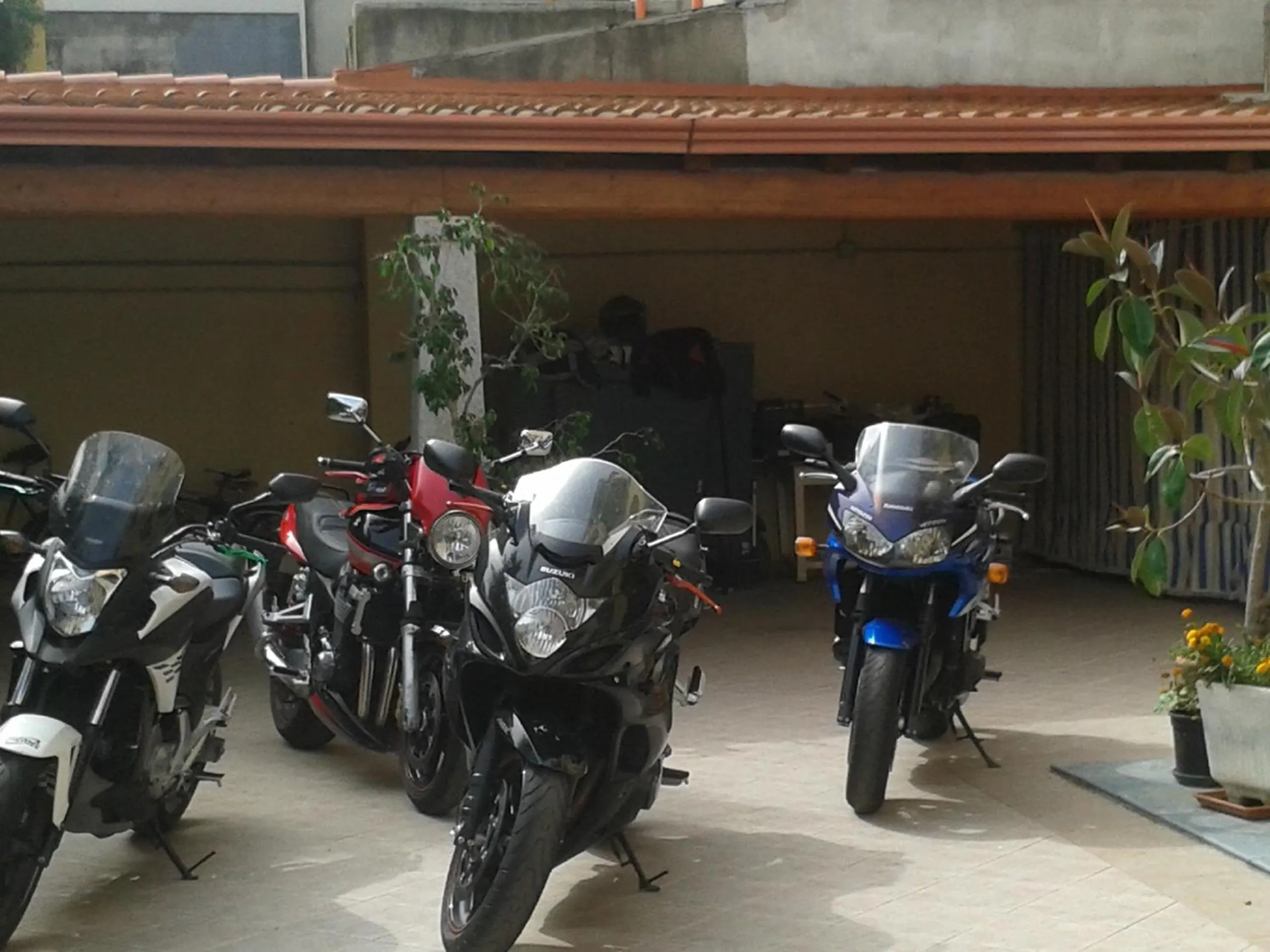 Activities in Bed and Breakfast Le petunie