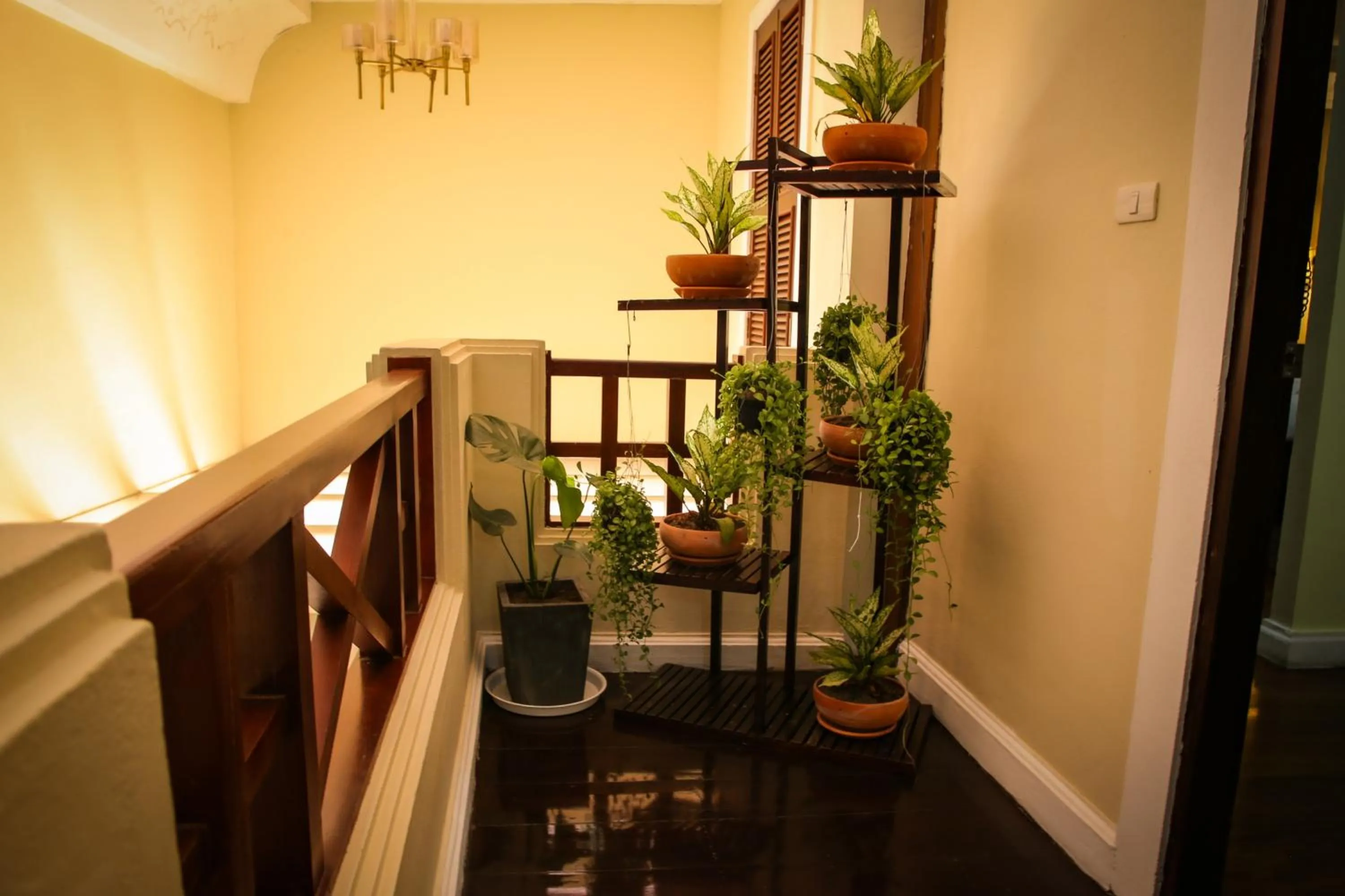 Inner courtyard view in Le Luxe Boutique Hotel