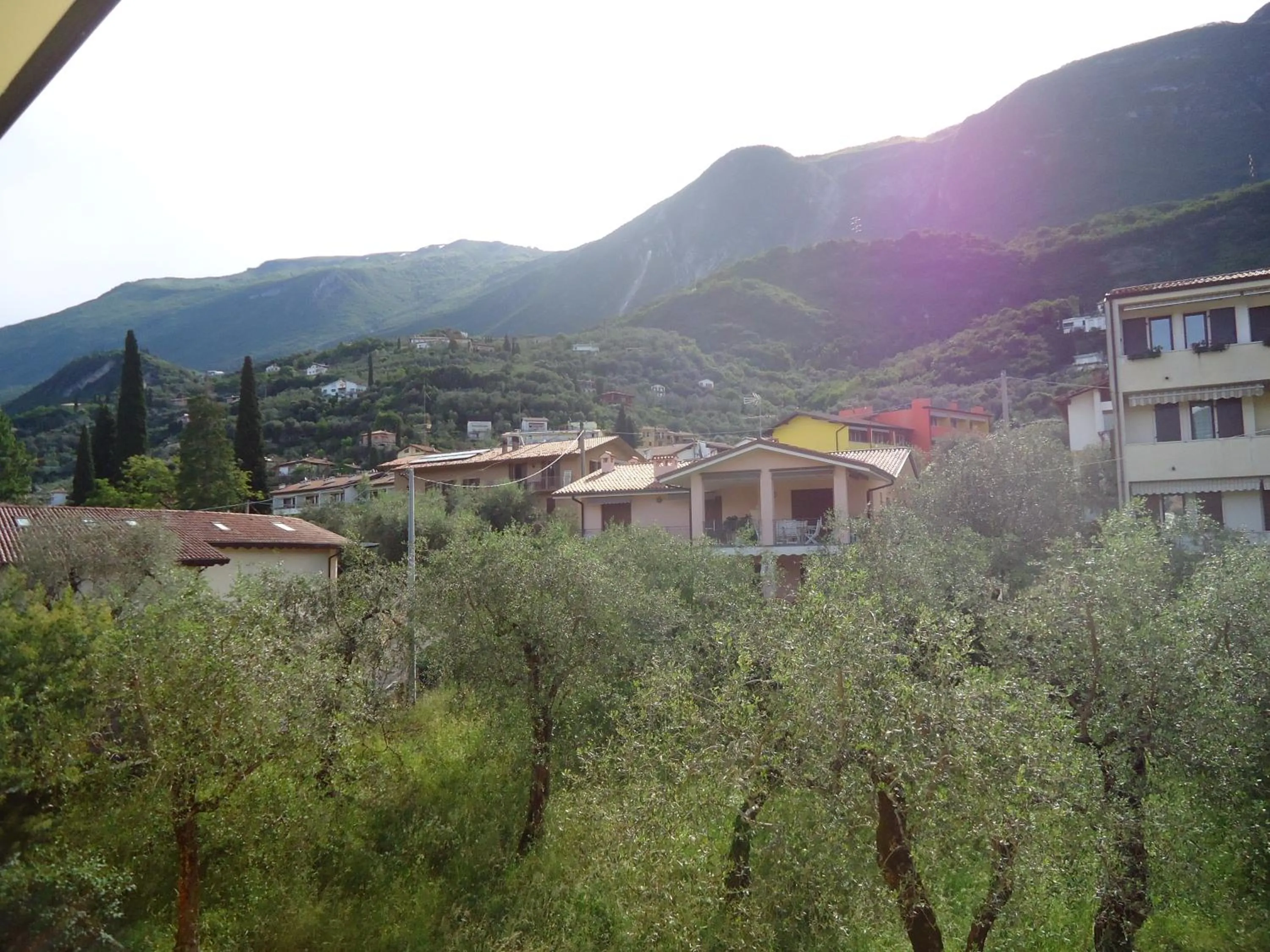 Garden in Residence il Cedro