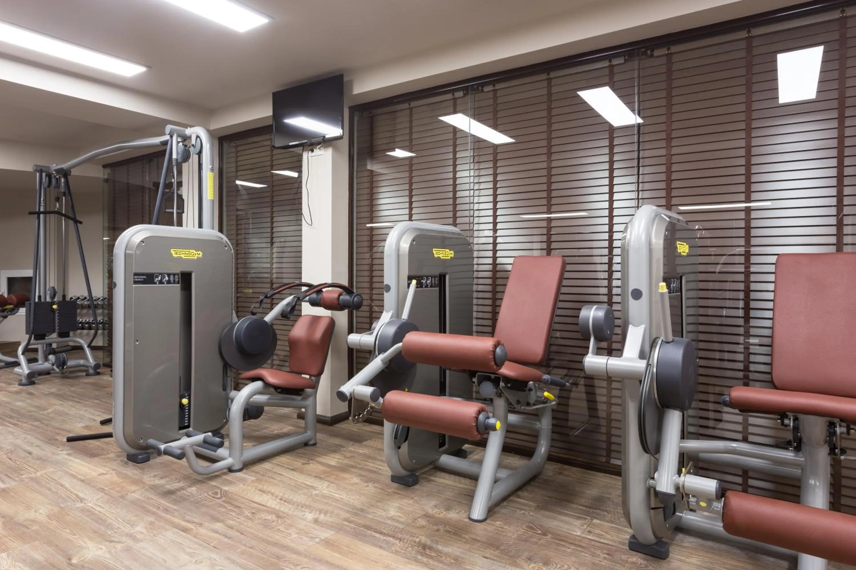 Fitness centre/facilities in Therma Palace - SPA Mineral Pool & All inclusive & Free Parking