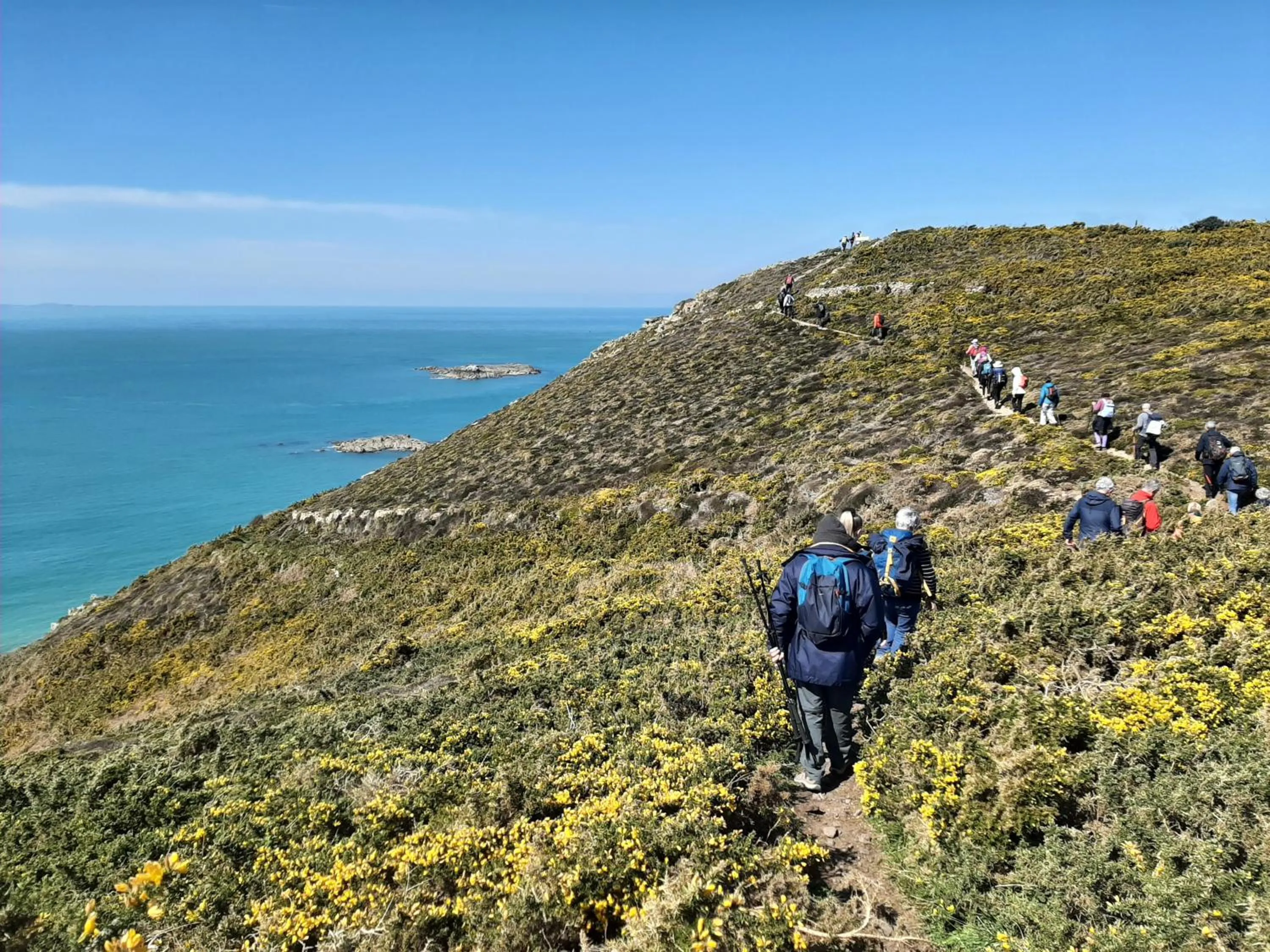 Natural landscape in VVF Cotentin Îles anglo-normandes