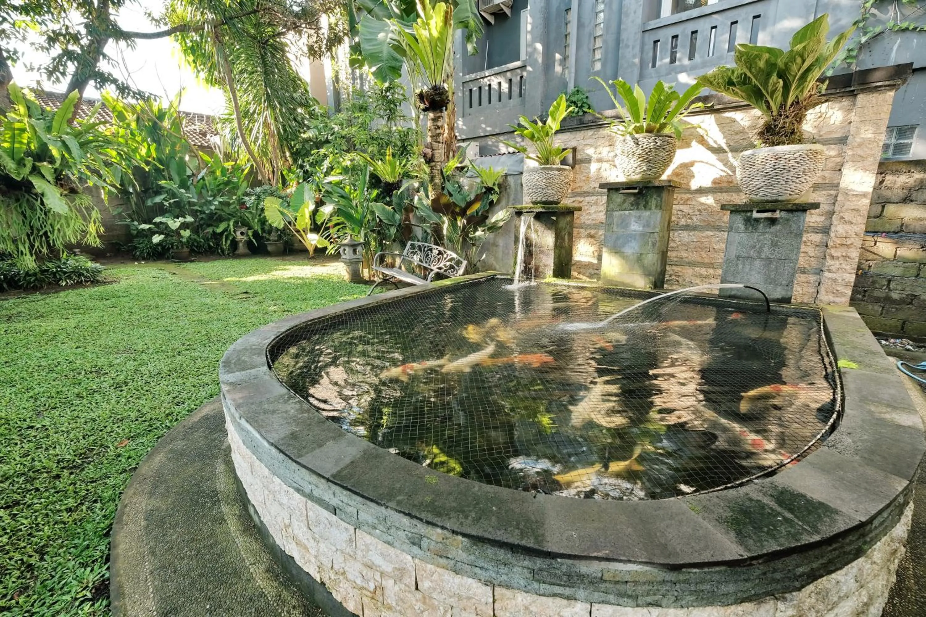 Pool view in Sumantra Guest House