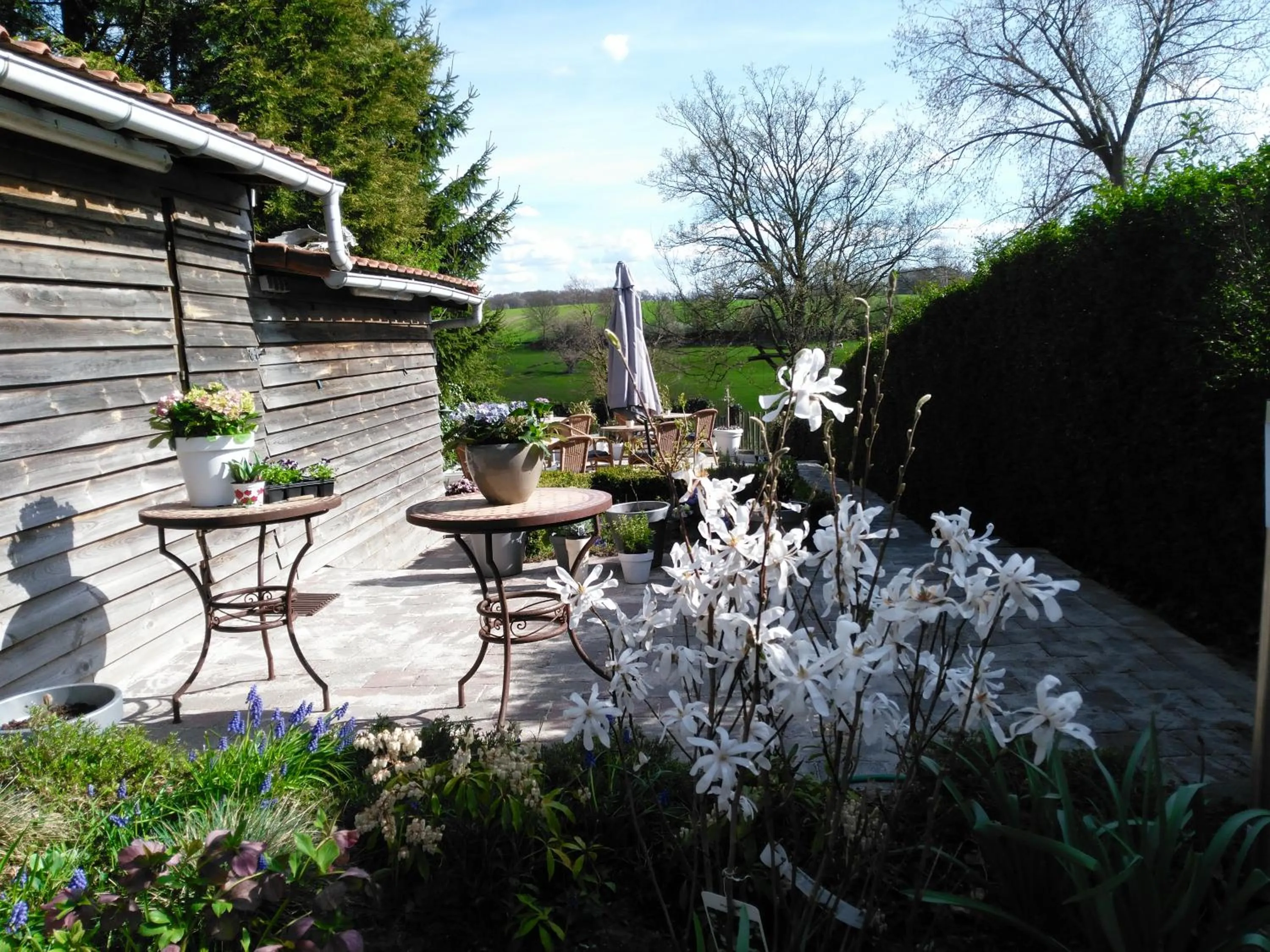 Patio in Hotel De Wilde Kriek