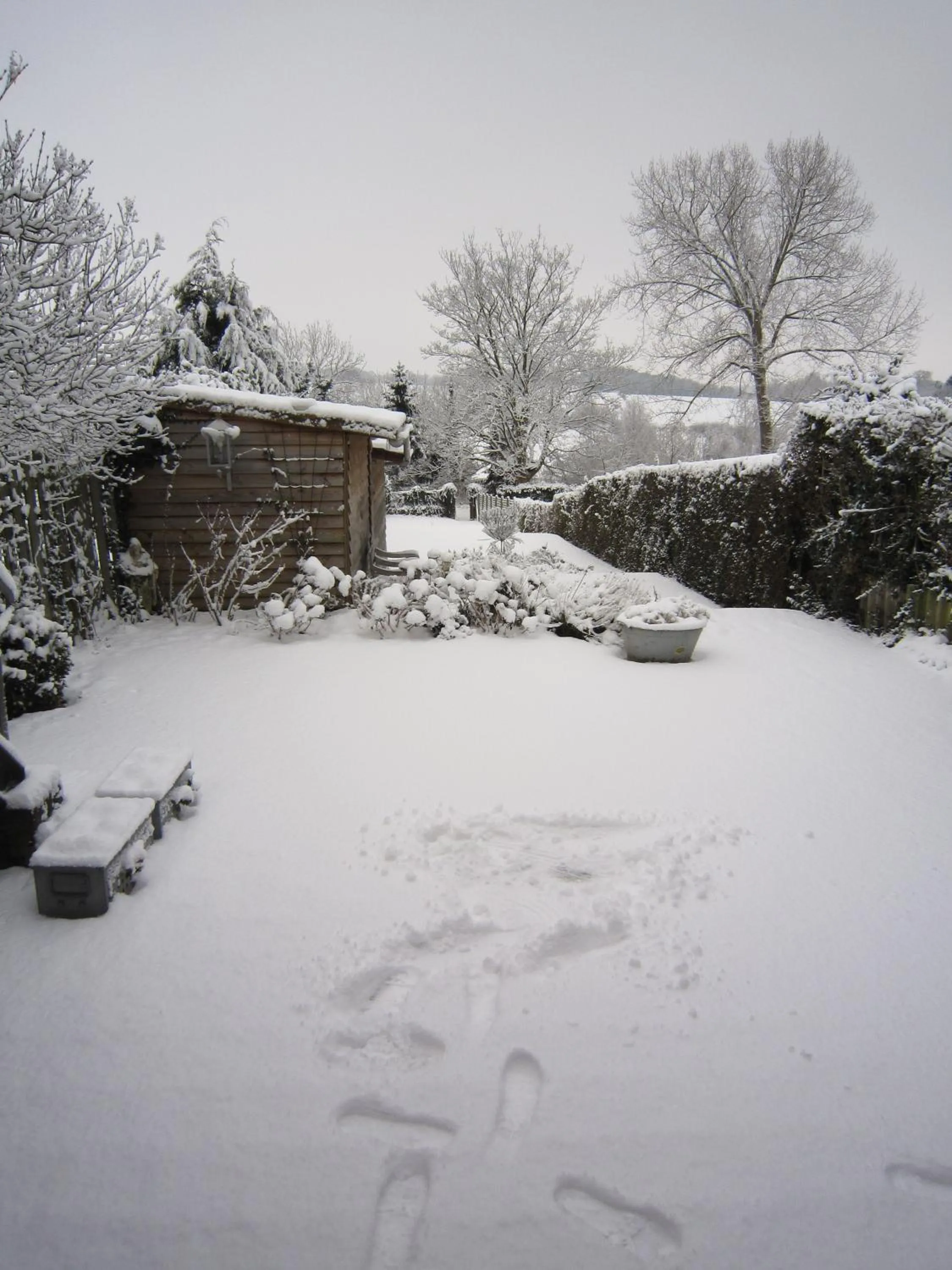 Garden in Hotel De Wilde Kriek