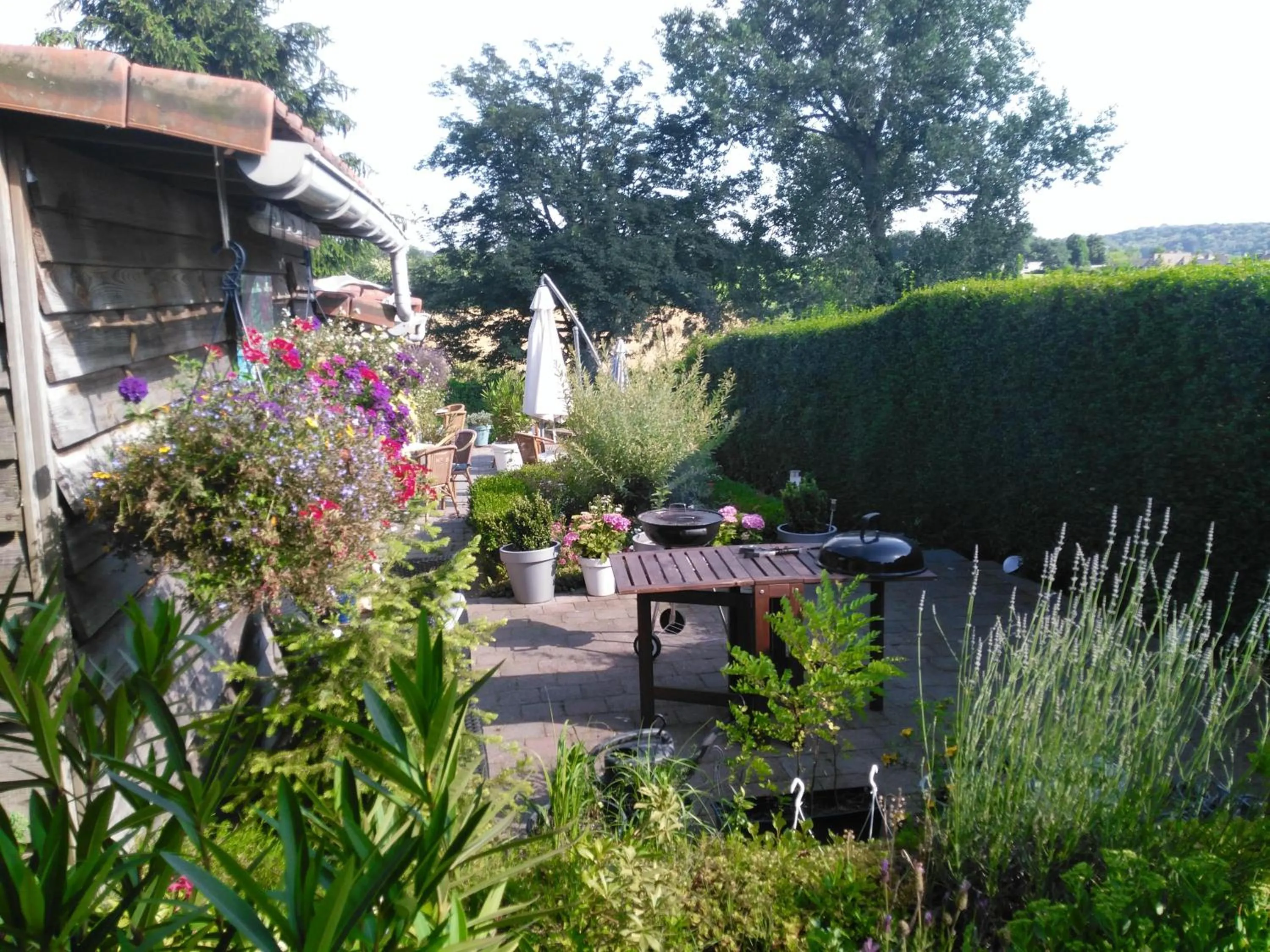 Patio in Hotel De Wilde Kriek