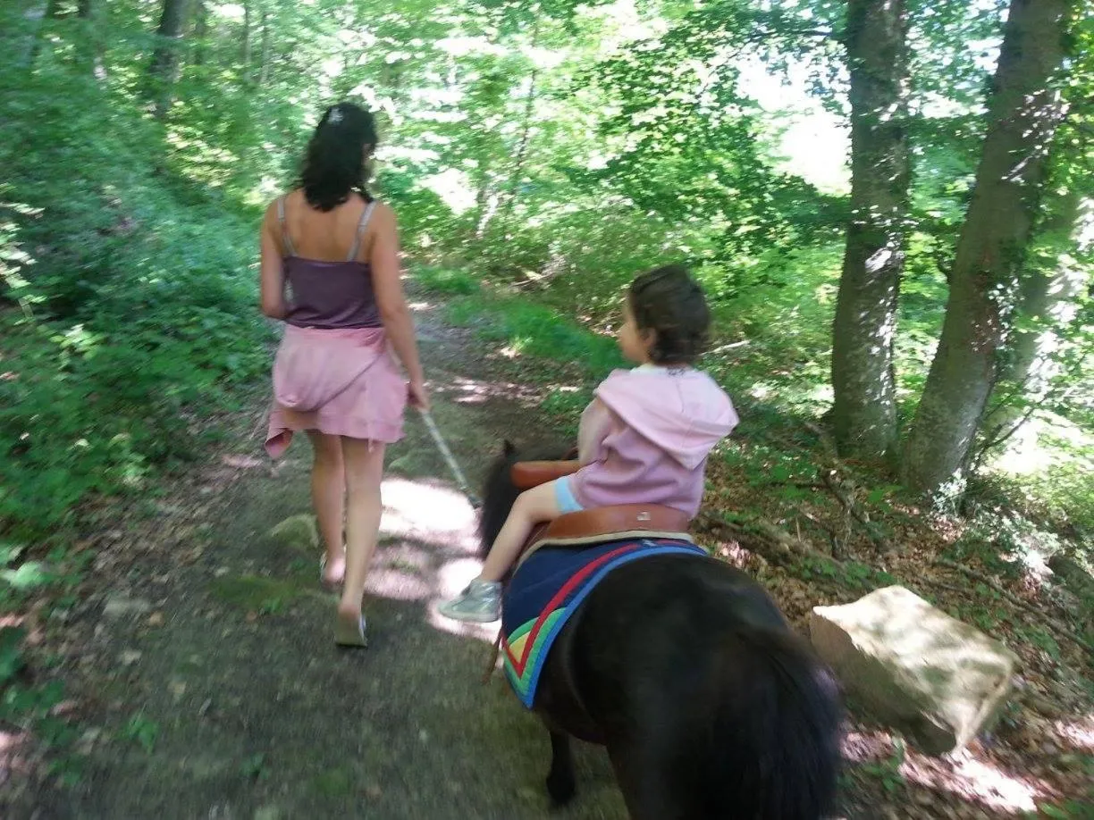 Activities in Chalets du Bois de Vache