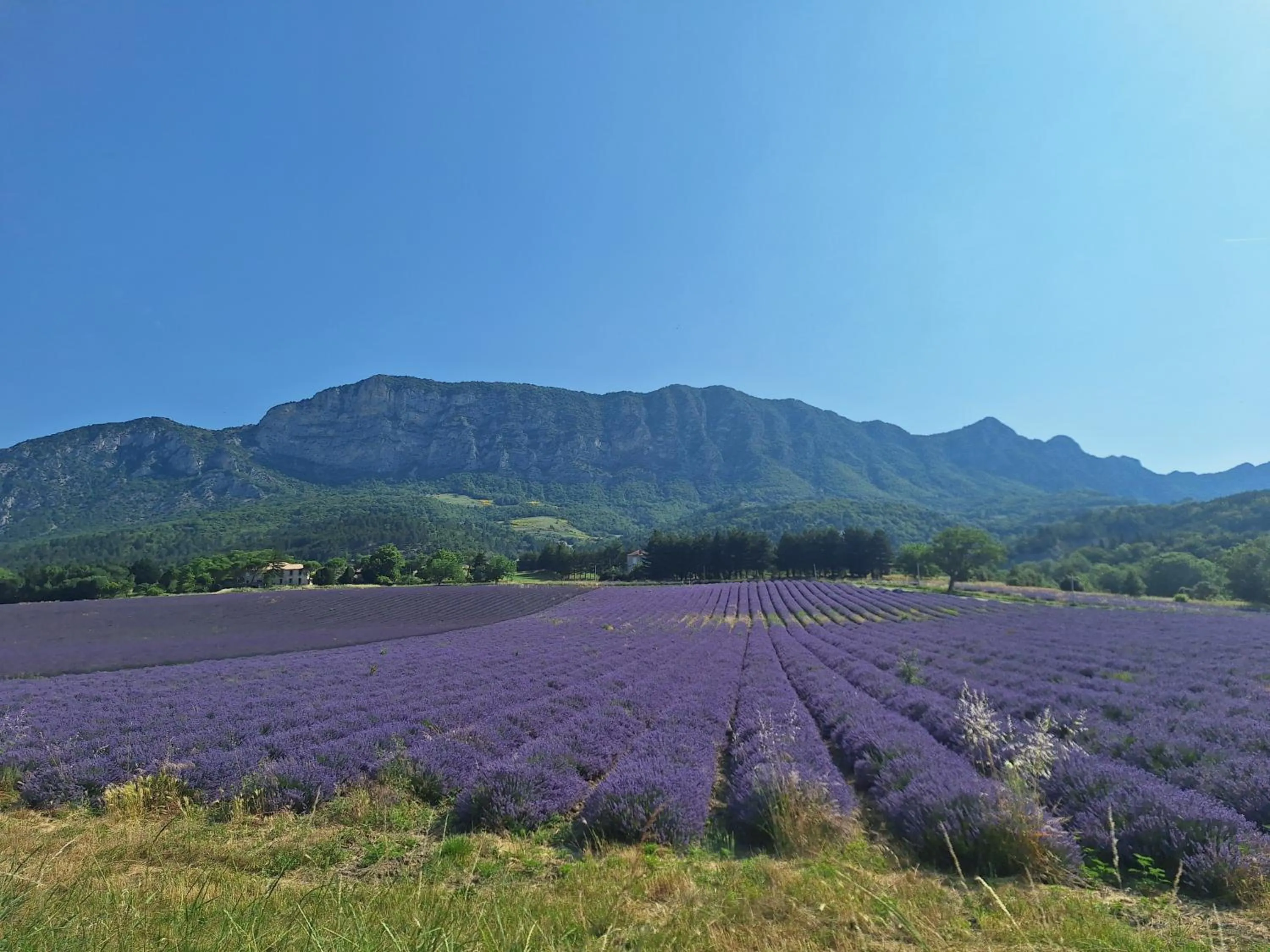 Nearby landmark in Chalets du Bois de Vache
