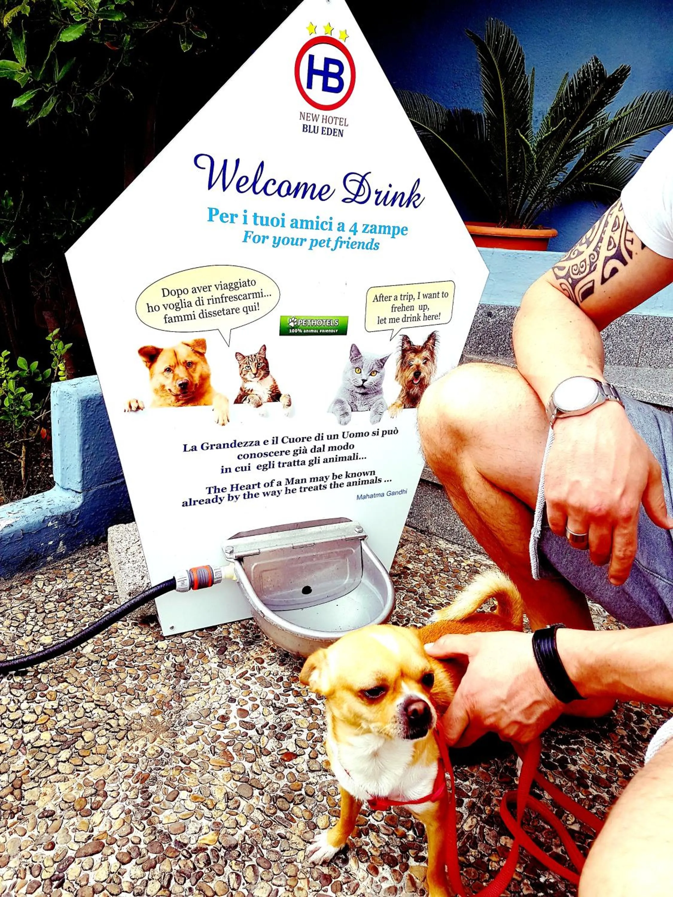 Facade/entrance in Hotel Blu Eden