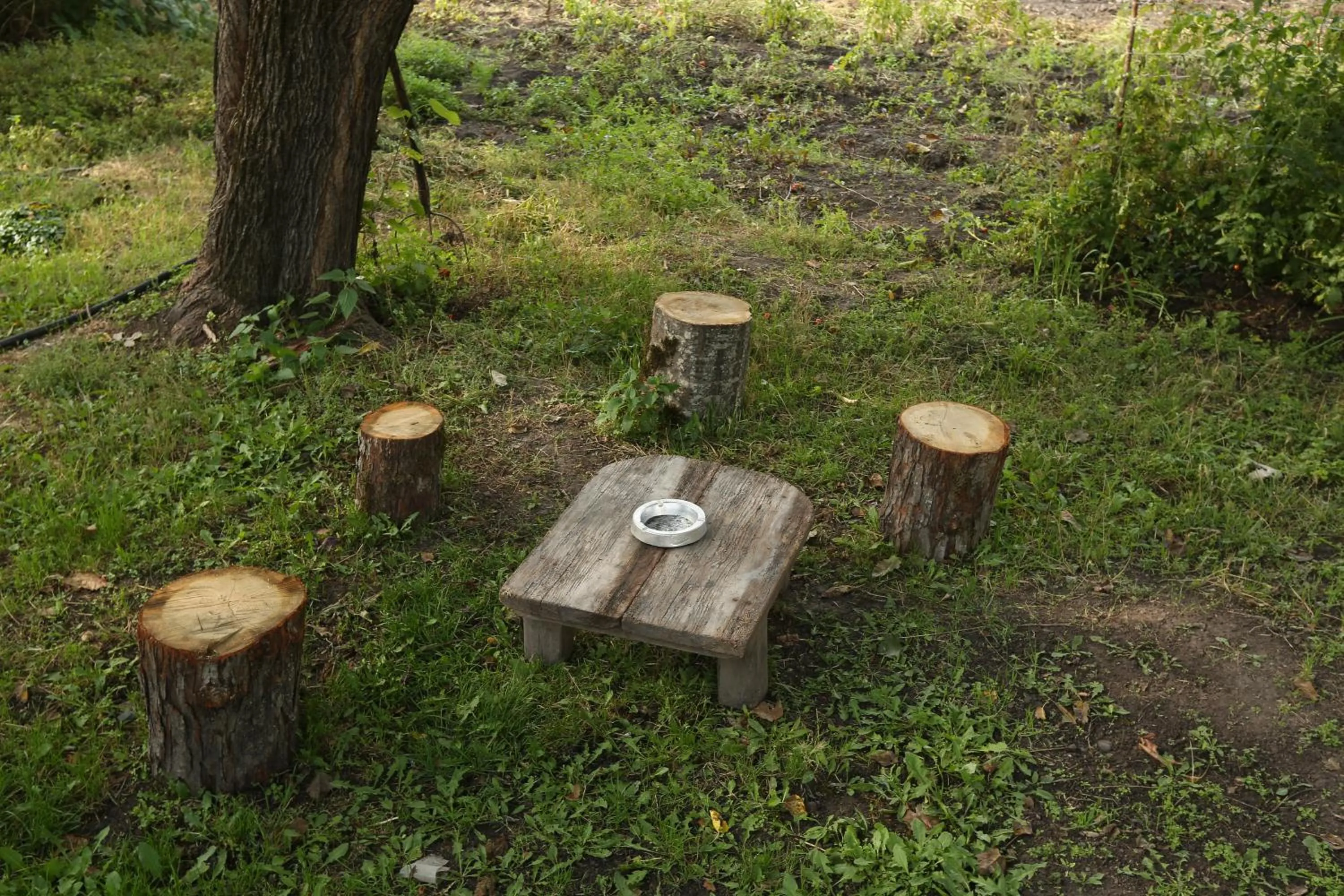 Guesthouse ''Ashot Shalunts''