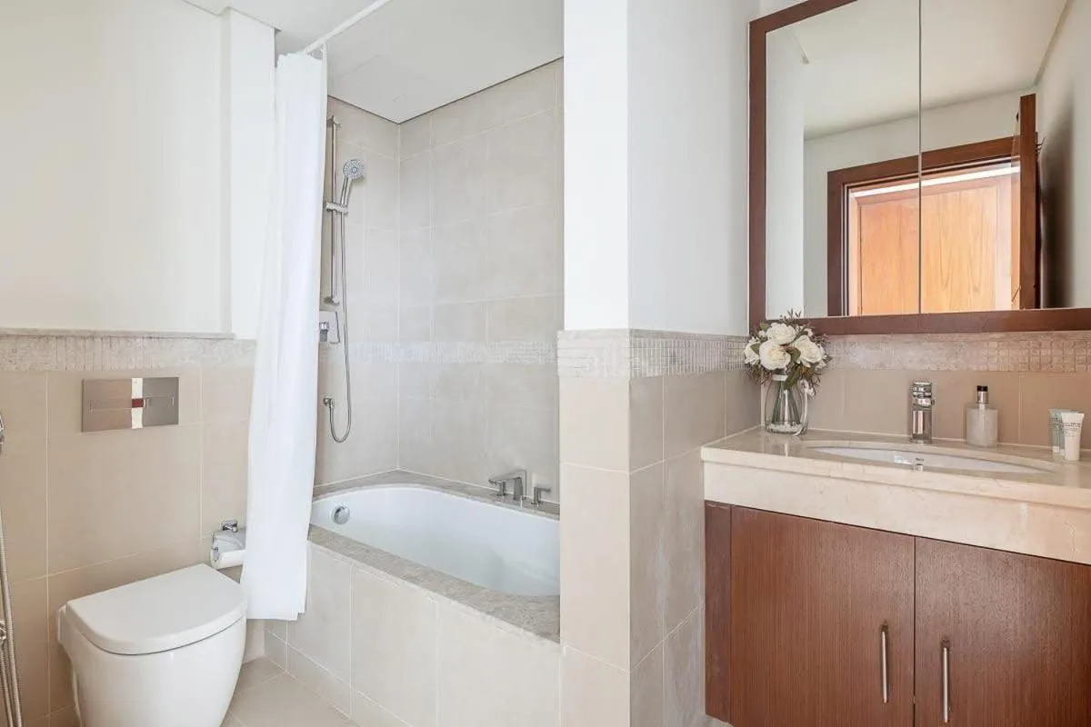 Frank Porter - Burj Vista Tower 2