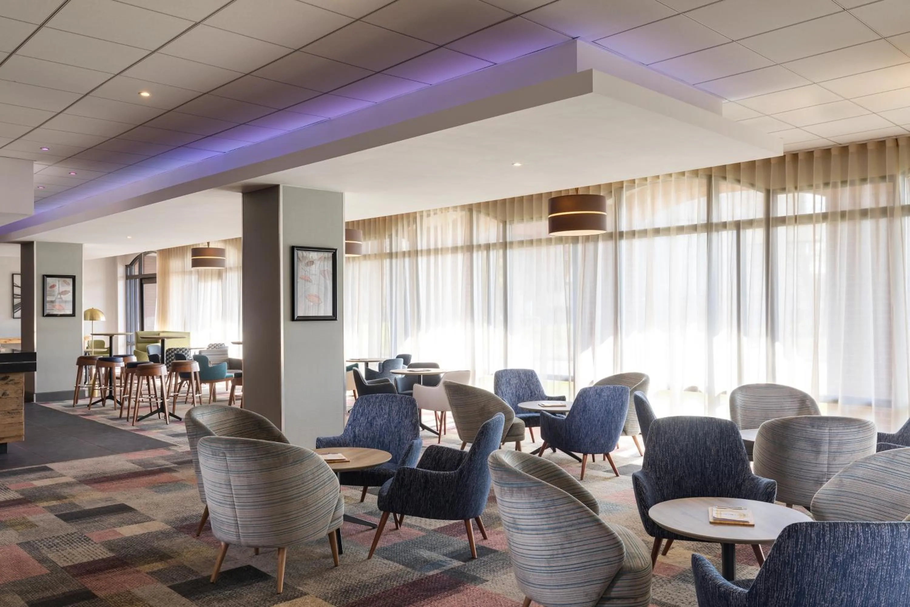 Lounge or bar in Novotel Ipswich Centre