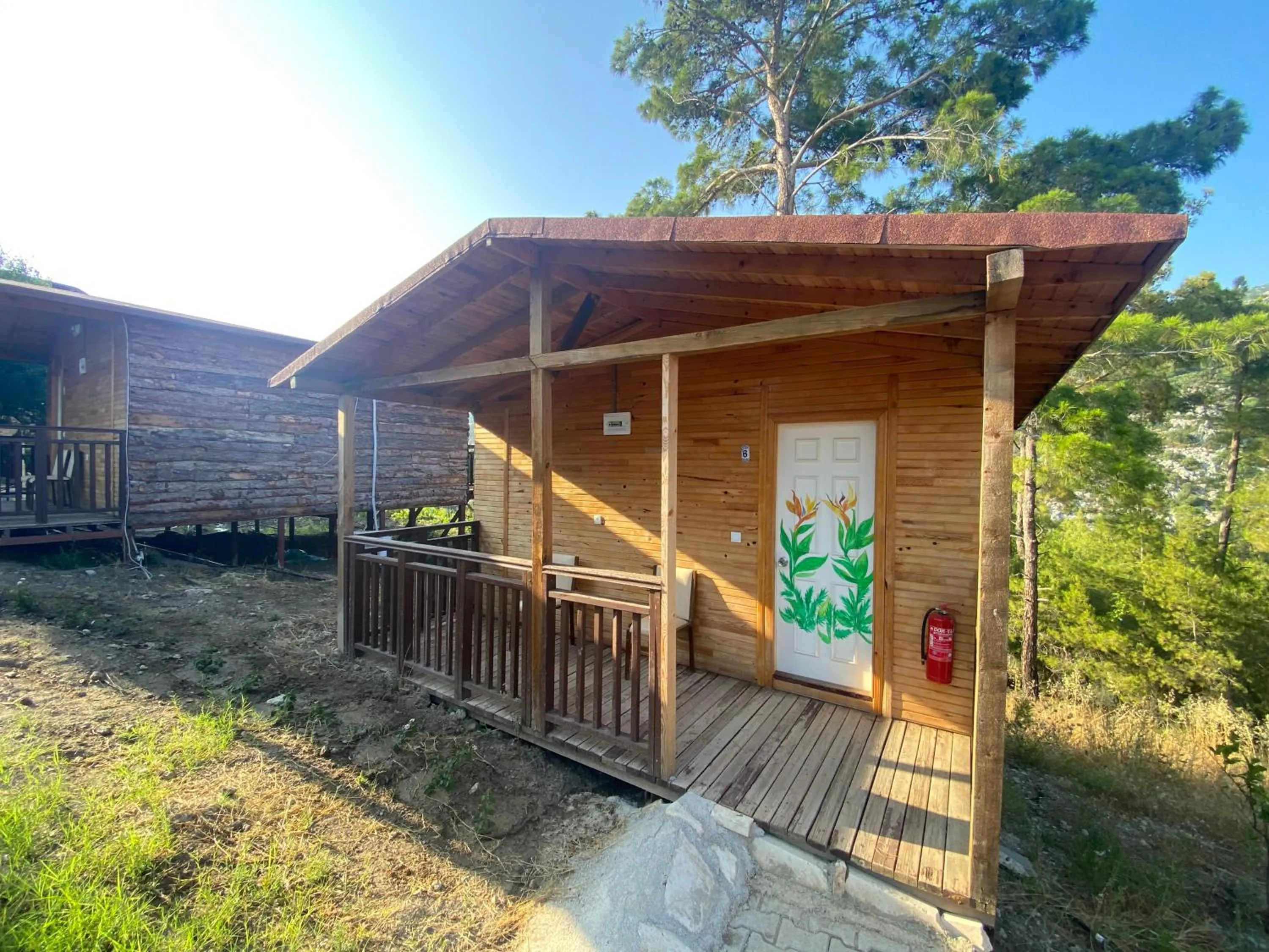 Photo of the whole room in Kadir's Eco Life