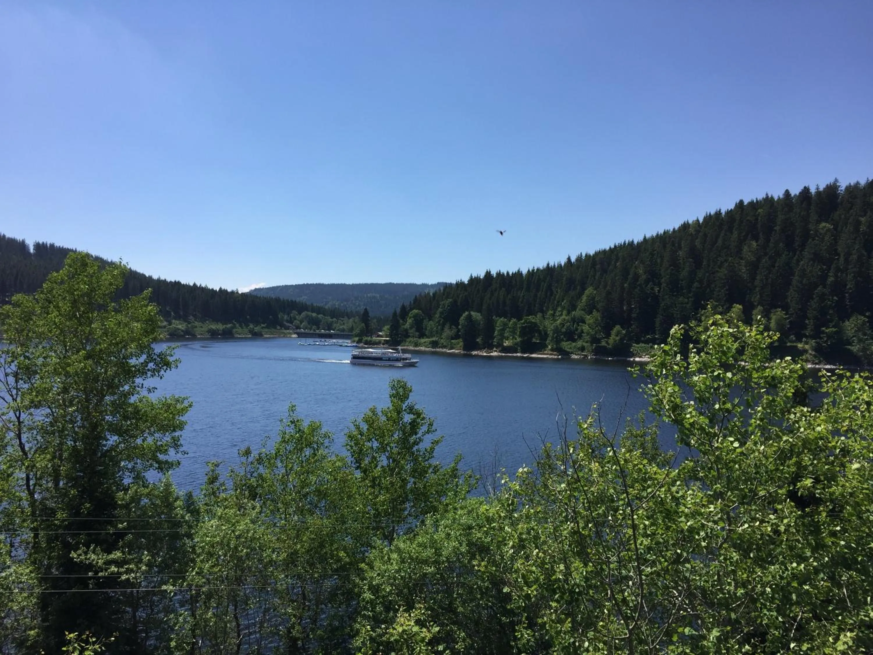 Activities in Pension Glöcklehof