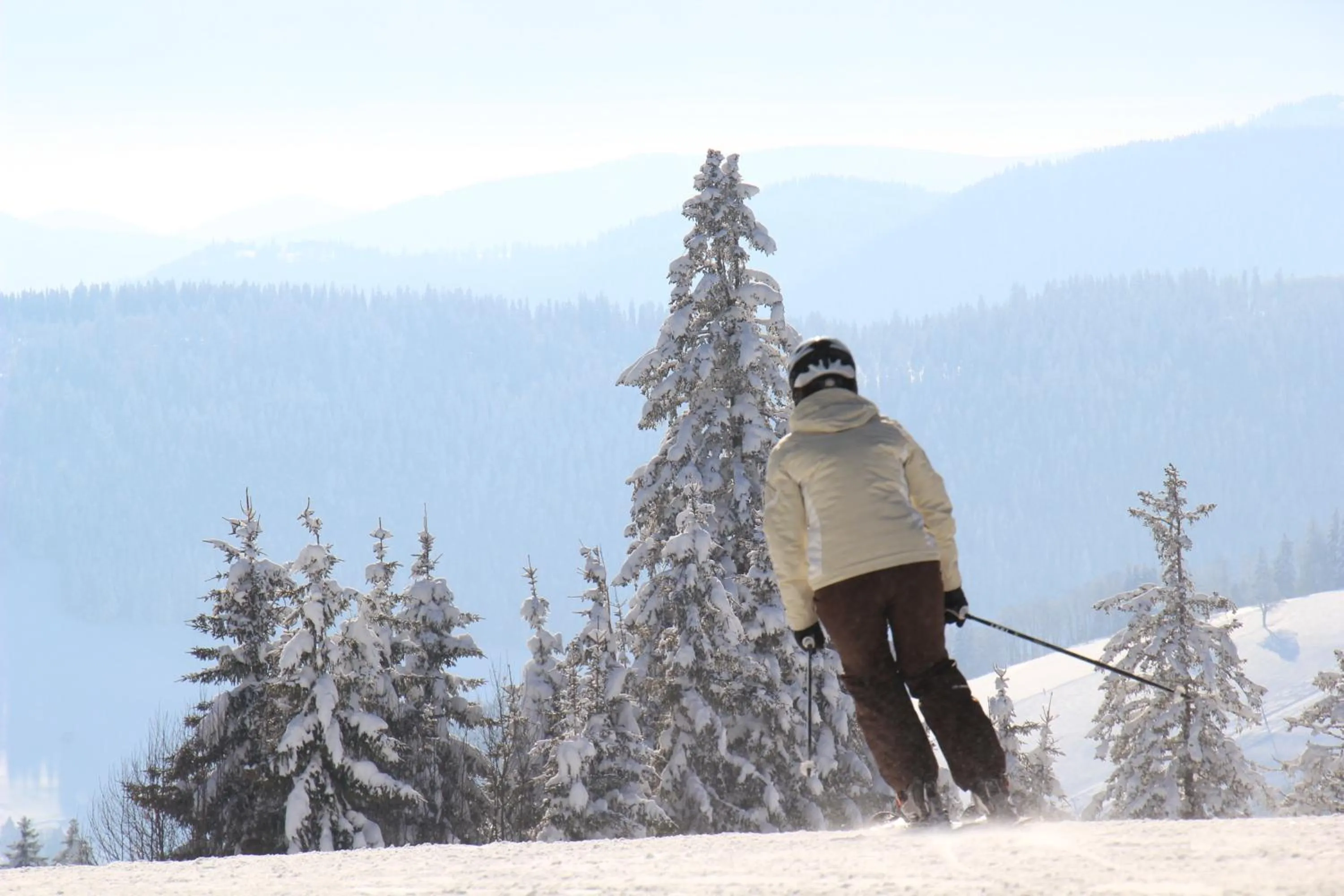 Natural landscape in Pension Glöcklehof