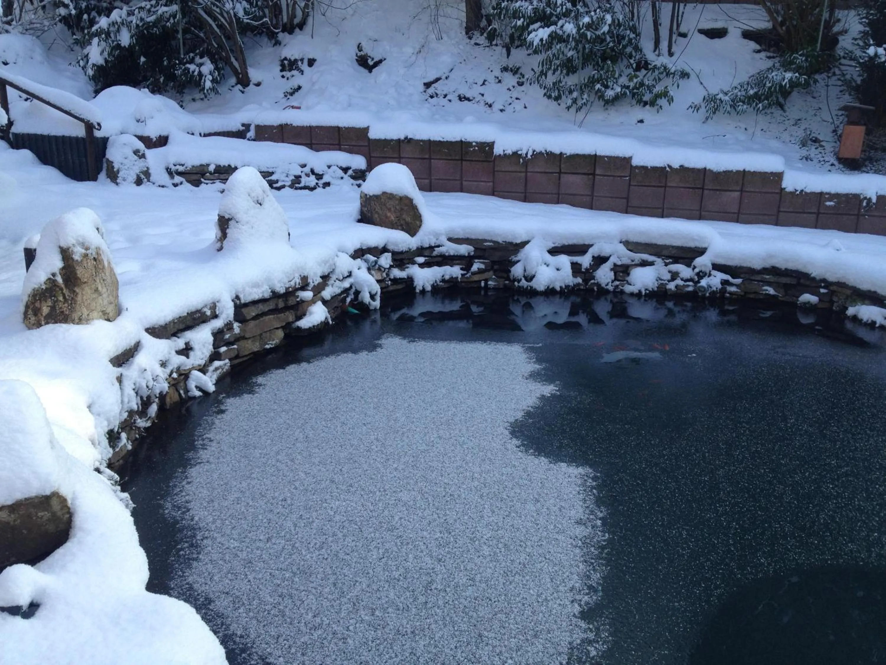 Property building in Hotel Forsthaus