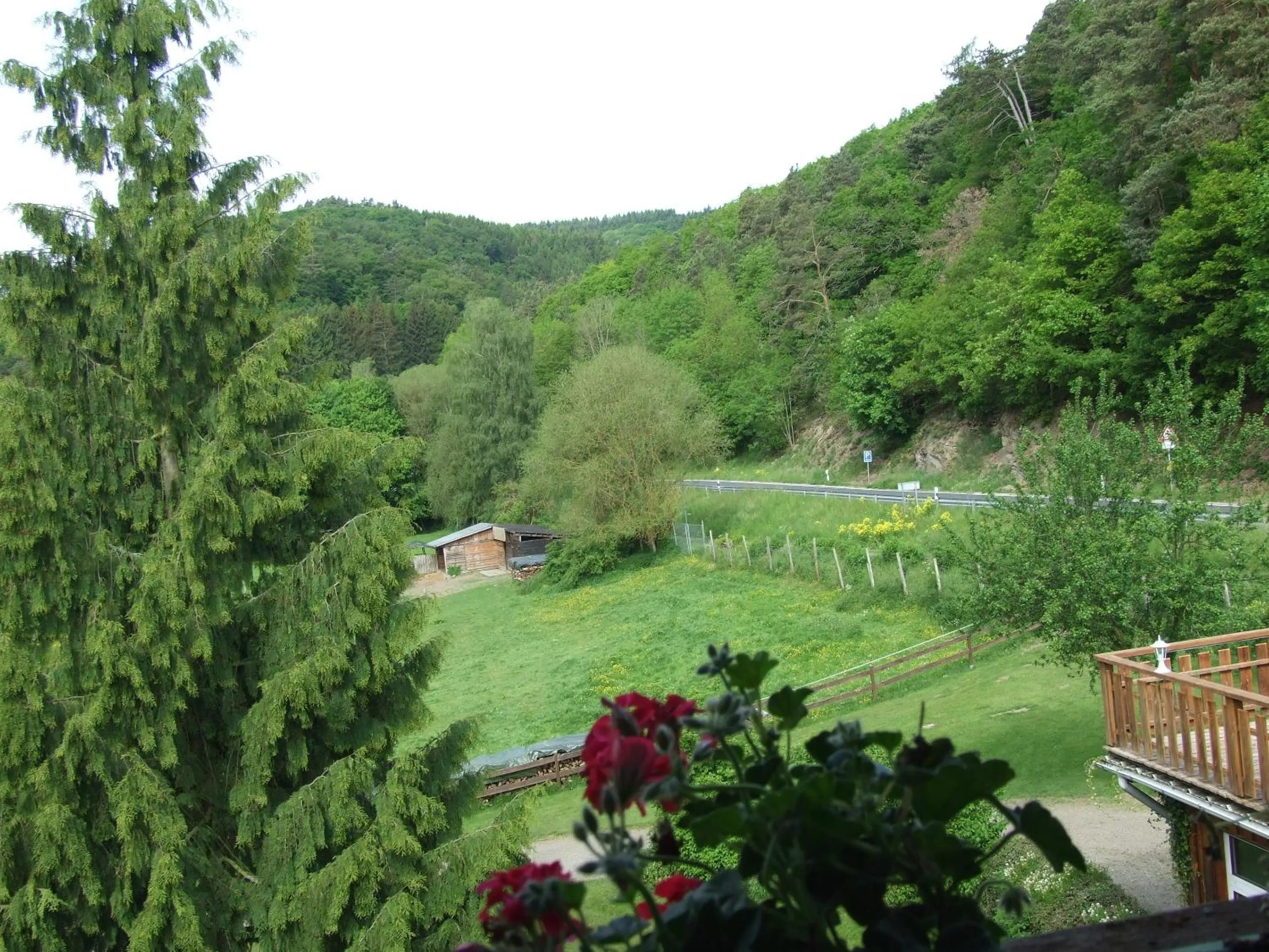 View (from property/room) in Hotel Forsthaus