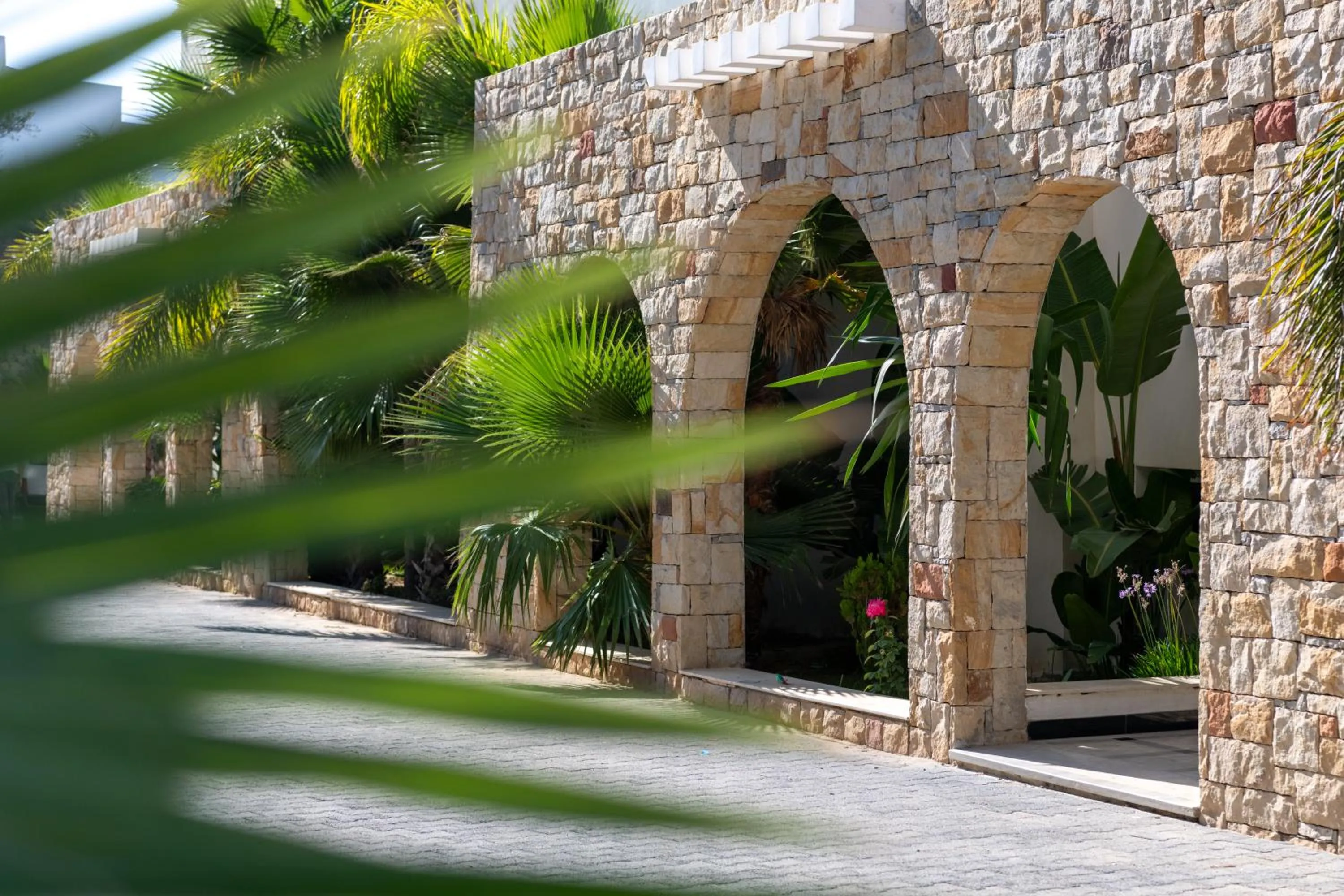 Garden view in Atlantic Mnar