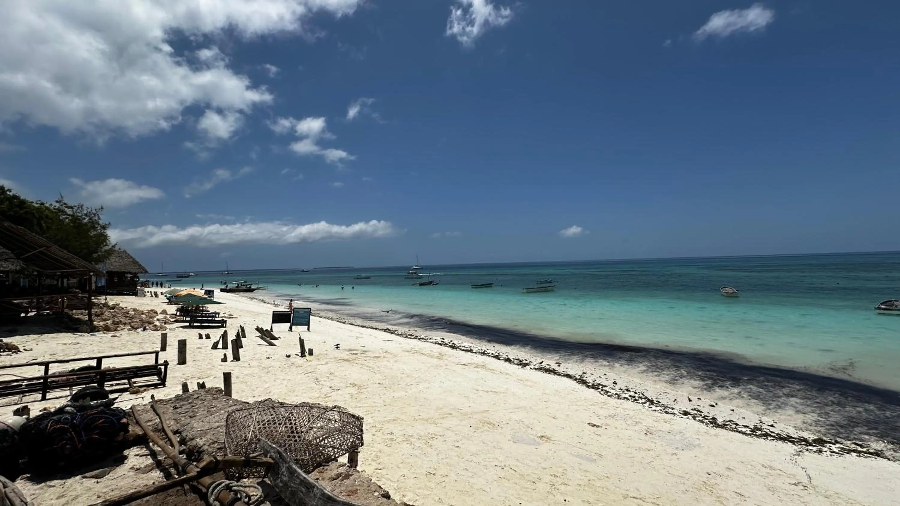 Natural landscape in Light of Zanzibar Hotel