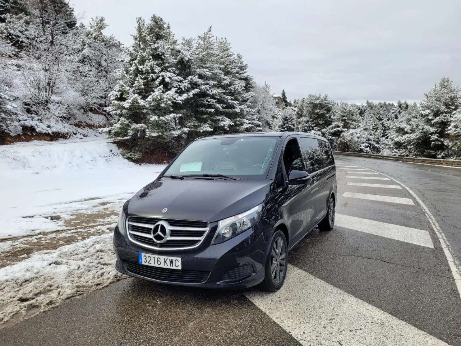 Pelayo Deluxe Apartments