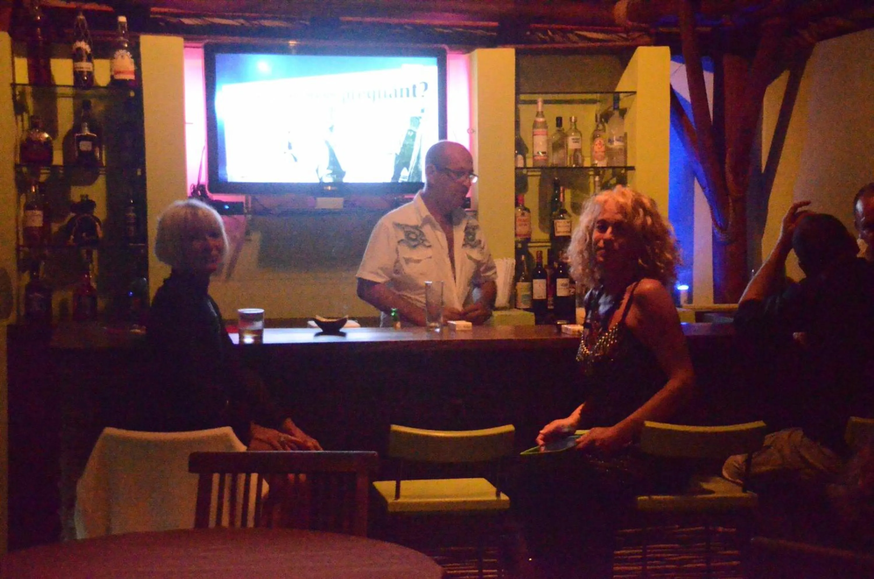 TV and multimedia in Villa La Plantacion