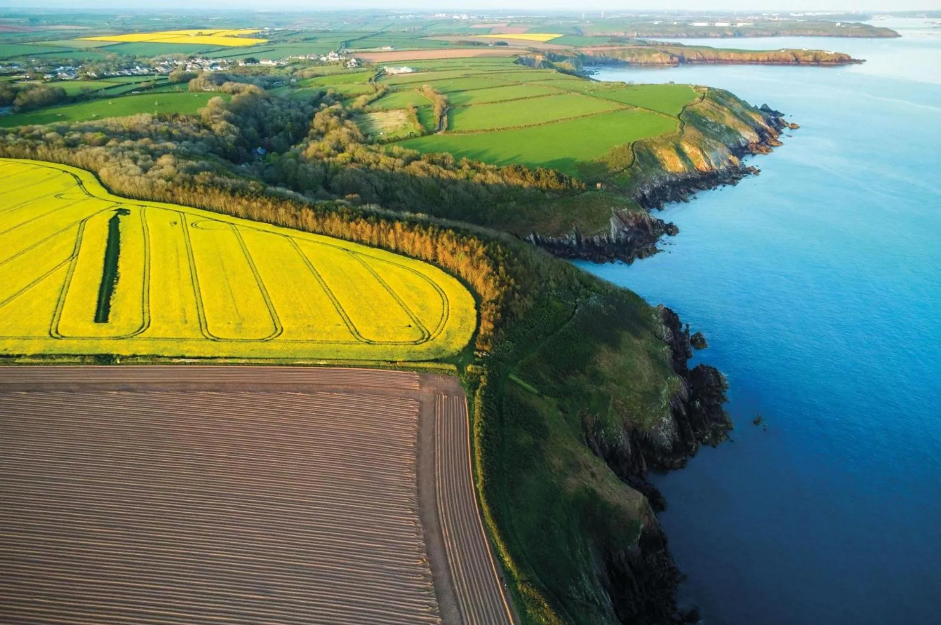 Floor plan in The Apple Store - 1 Bedroom Cottage - St Ishmaels